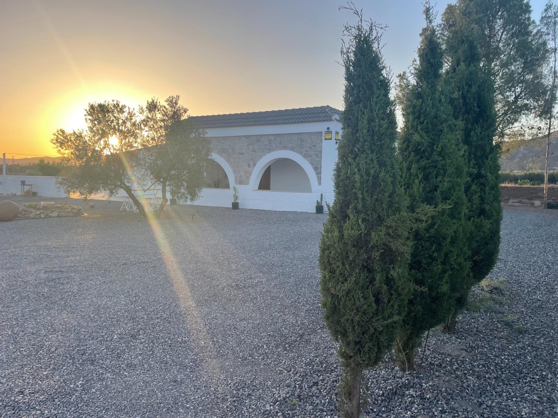 Pisos-Venta-Tabernas-1841816-Foto-19