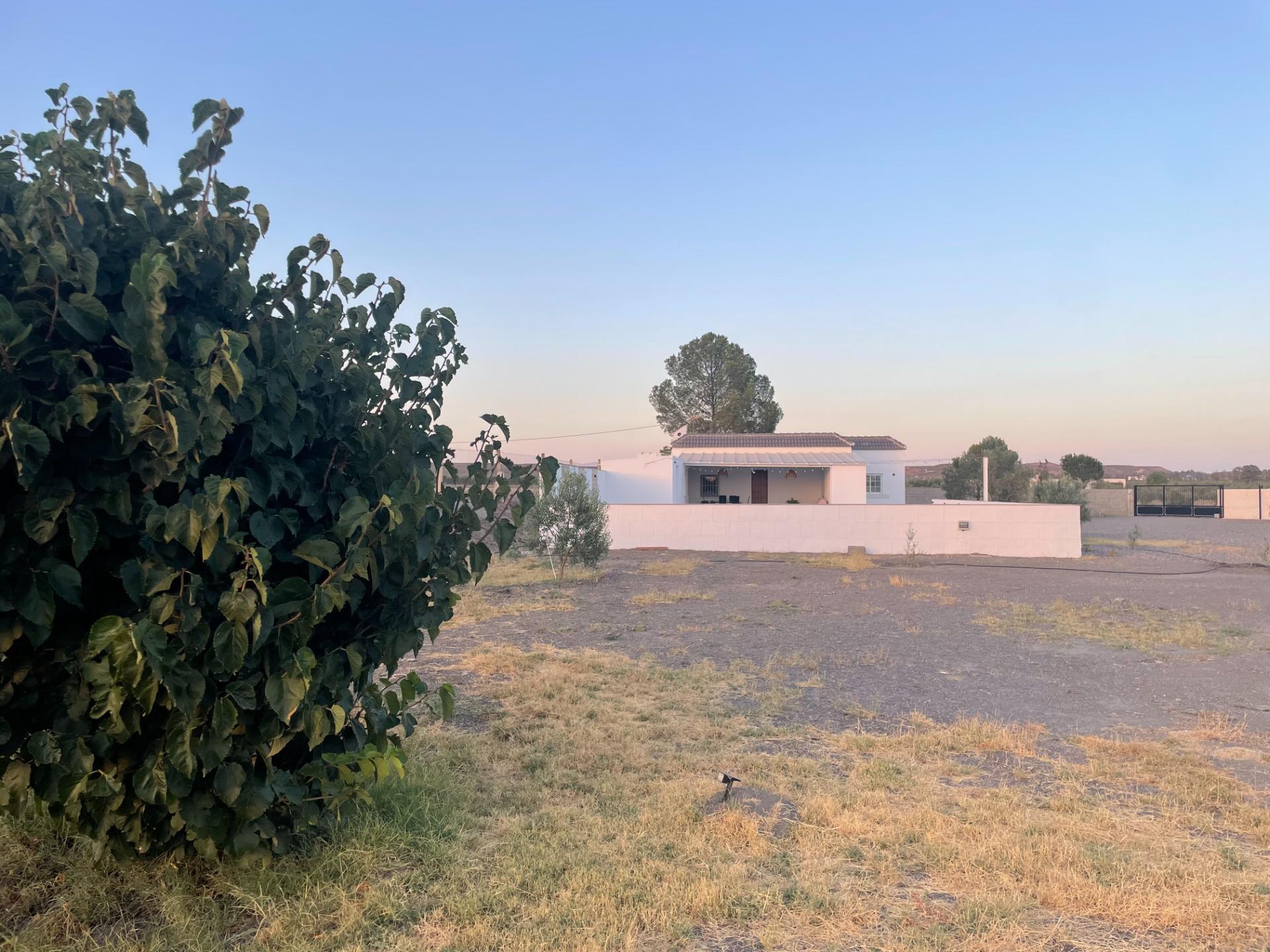 Pisos-Venta-Tabernas-1841816-Foto-25