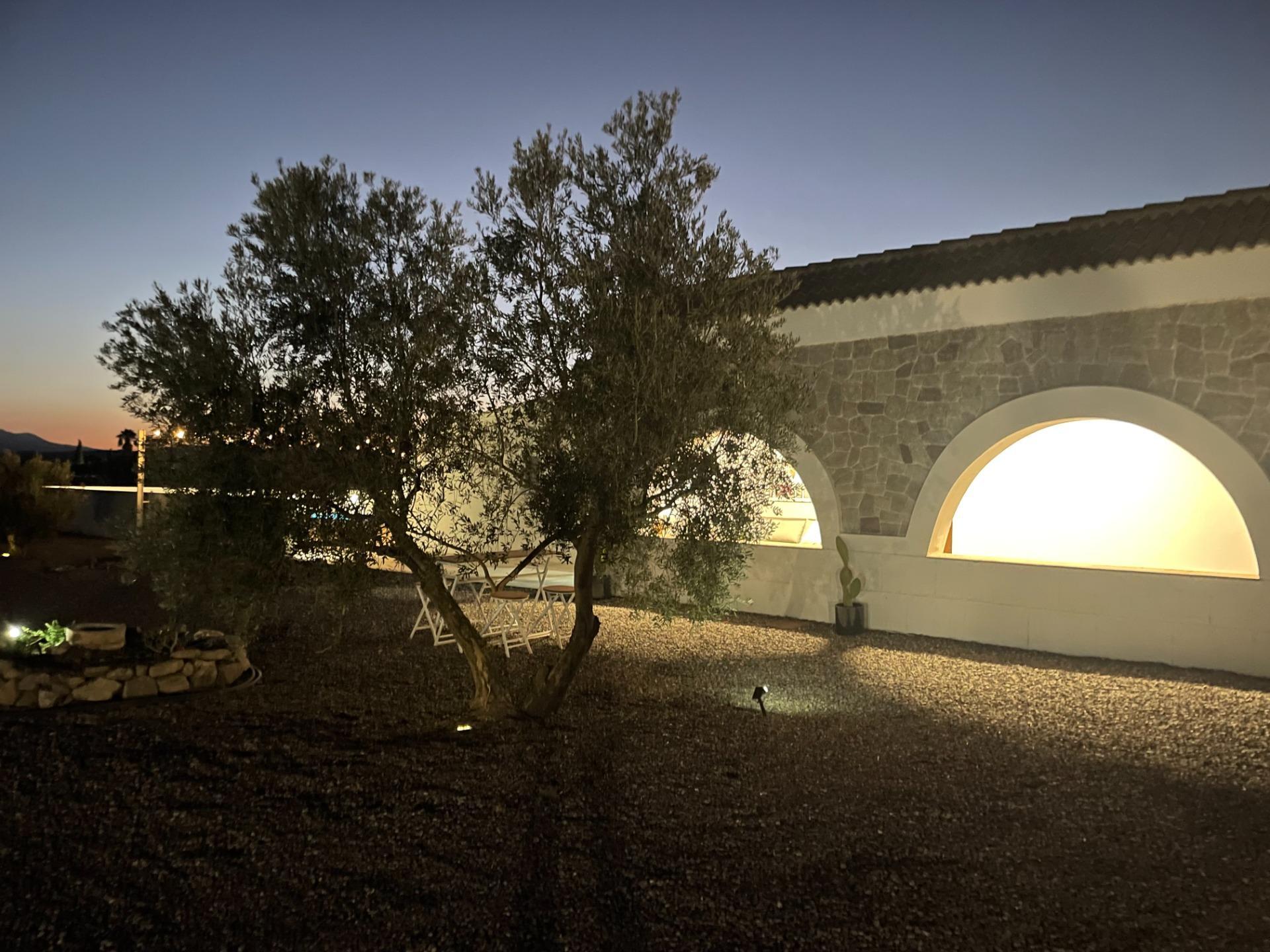 Pisos-Venta-Tabernas-1841816-Foto-32