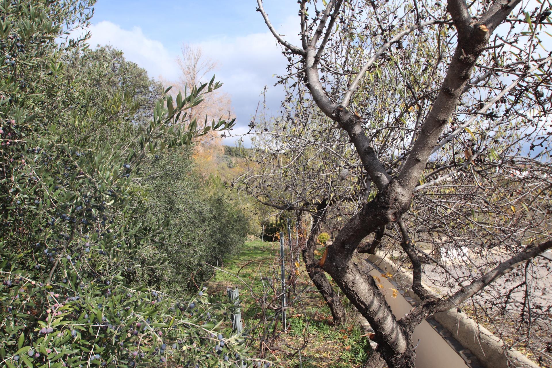 Pisos-Venta-La Granada-2031402-Foto-28