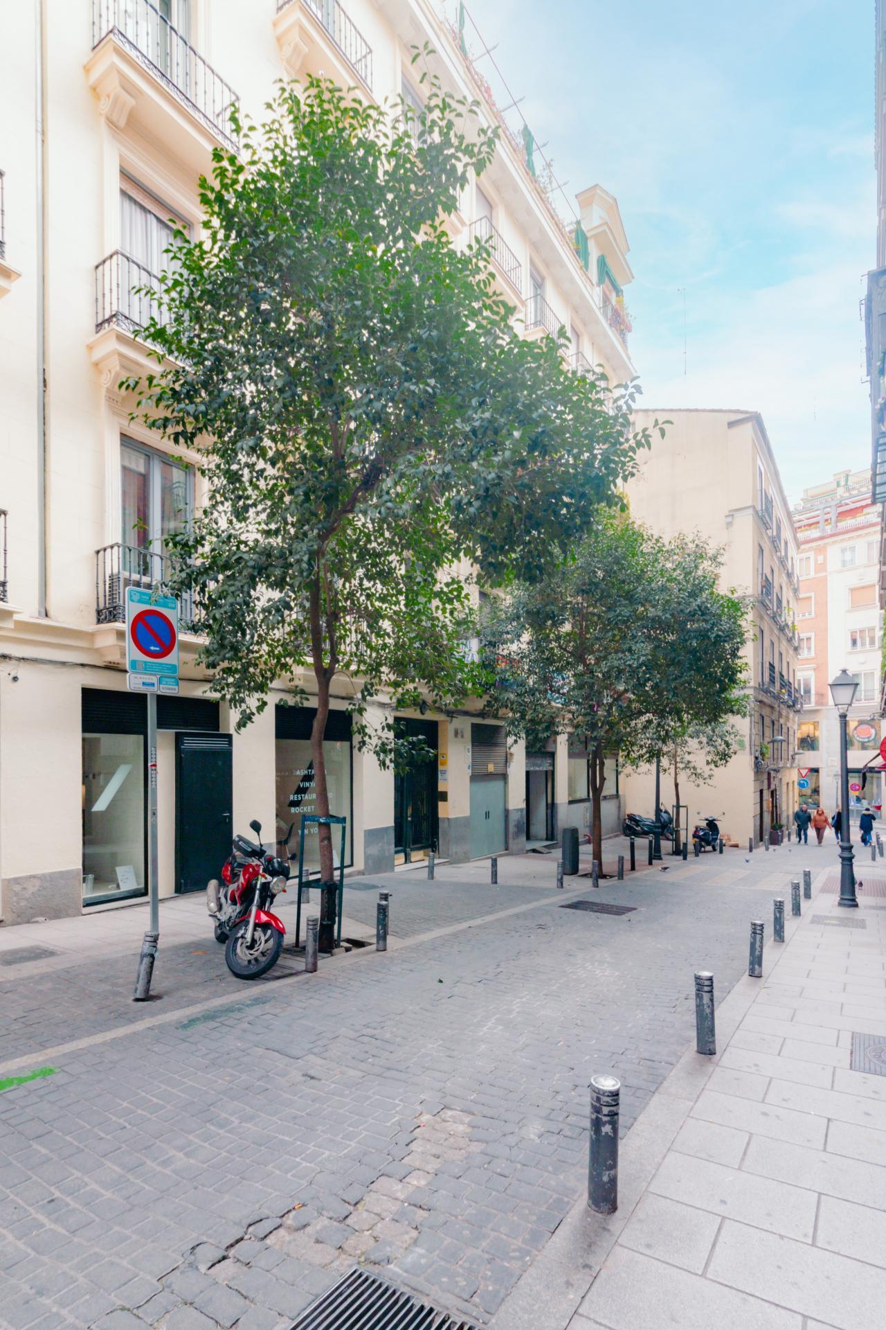 Pisos-Venta-Madrid-1972982-Foto-38