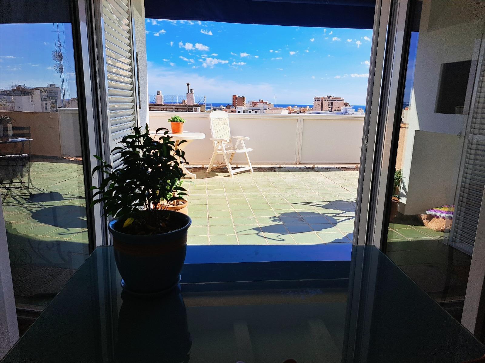 Pisos-Venta-Palma de Mallorca-1836863-Foto-12