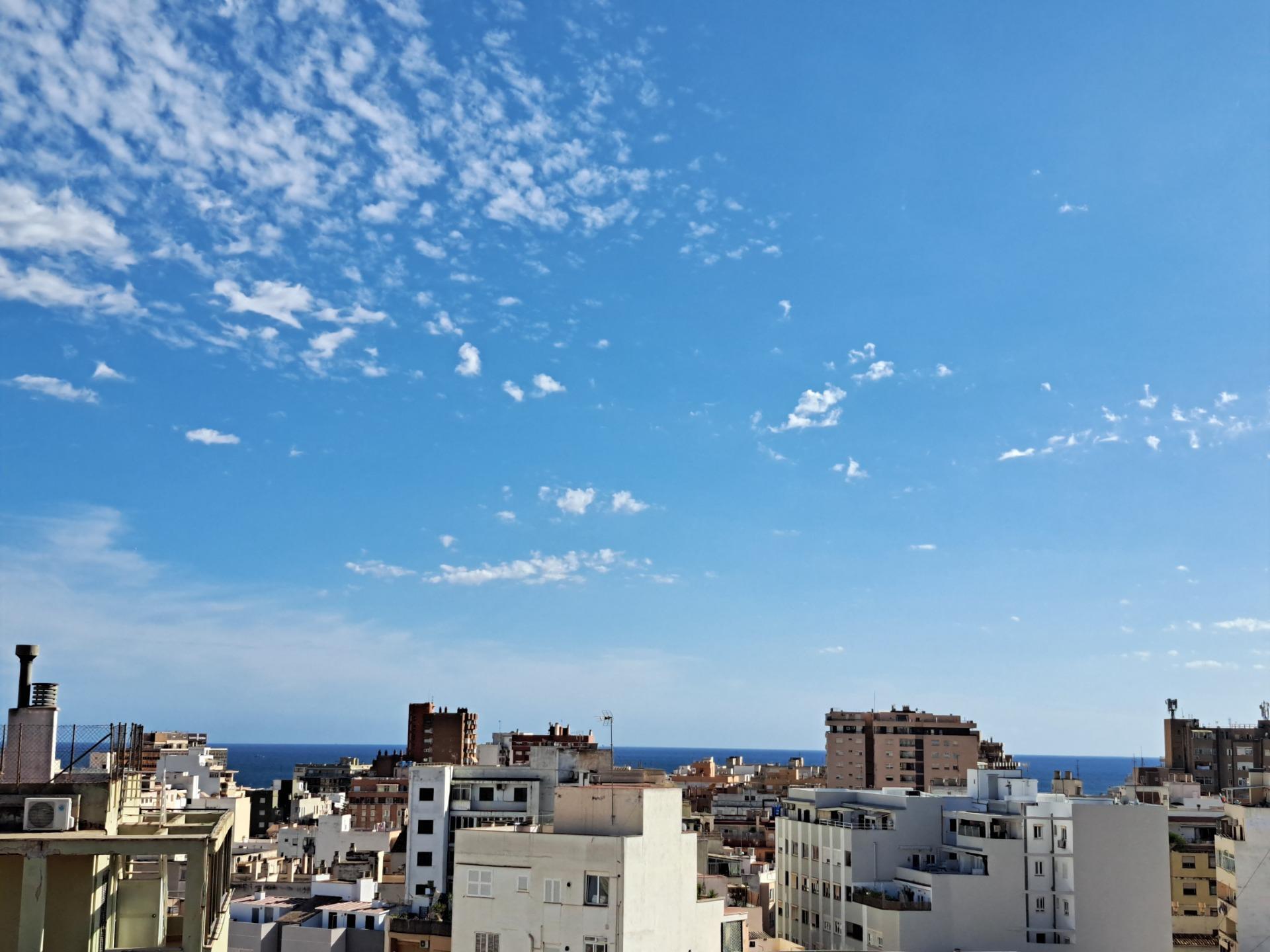 Pisos-Venta-Palma de Mallorca-1836863-Foto-44