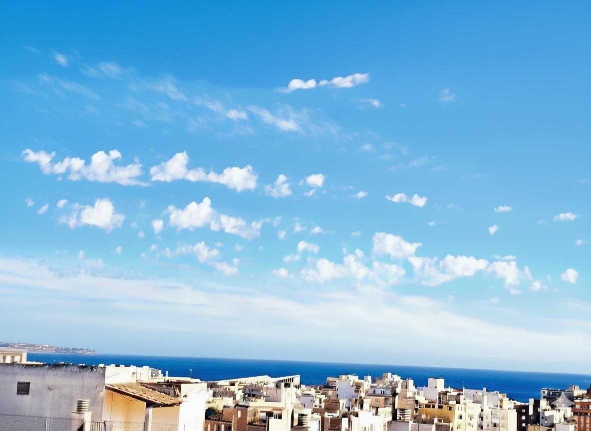 Pisos-Venta-Palma de Mallorca-1836863-Foto-66