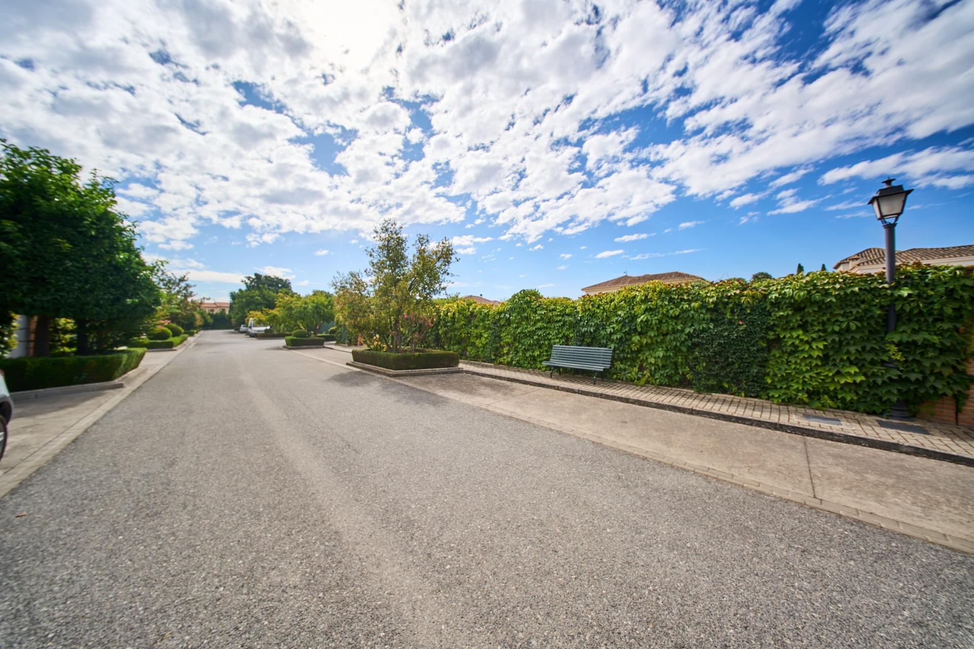 Fincas y solares-Venta-Vegas del Genil-1827908-Foto-8