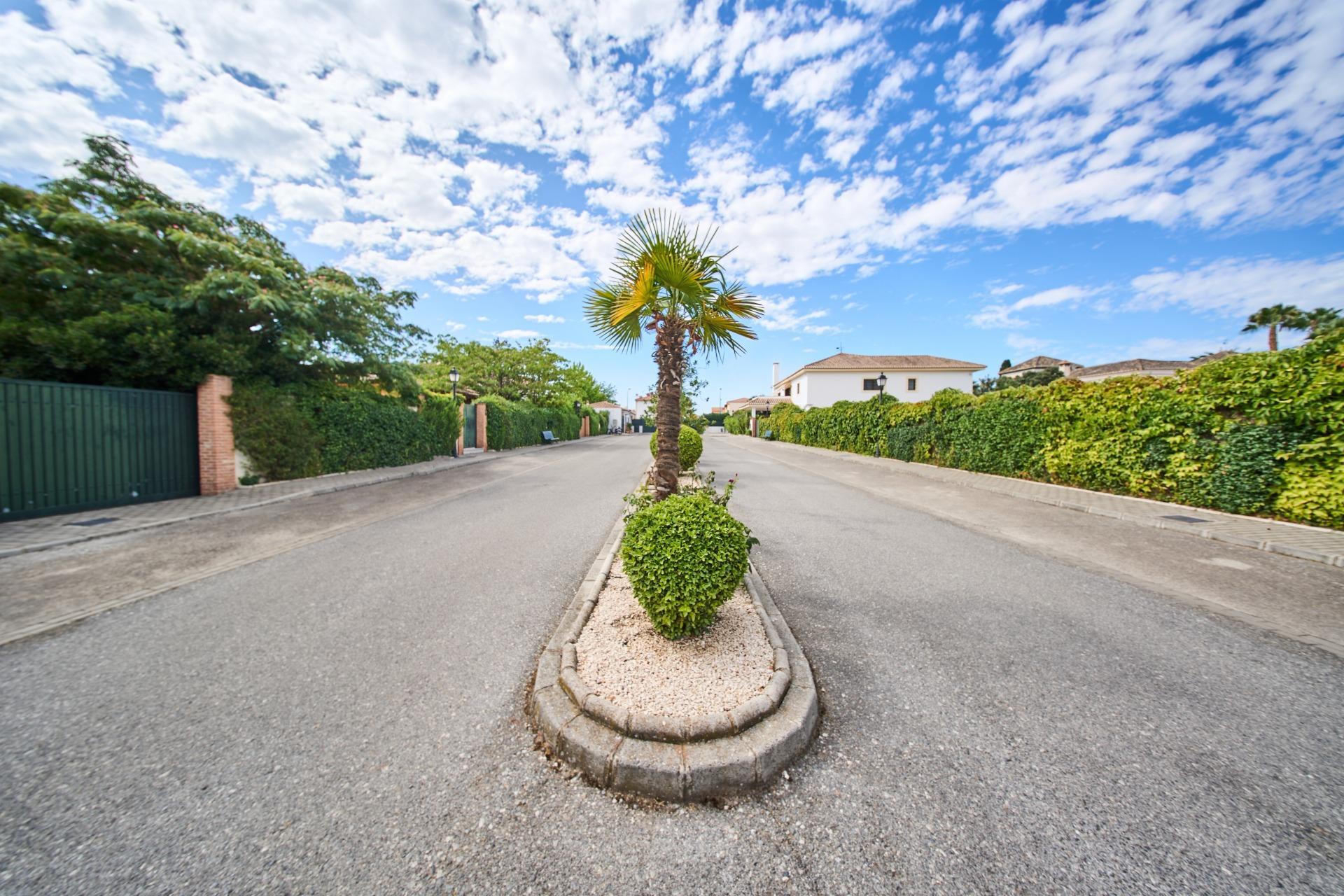 Fincas y solares-Venta-Vegas del Genil-1827908-Foto-6