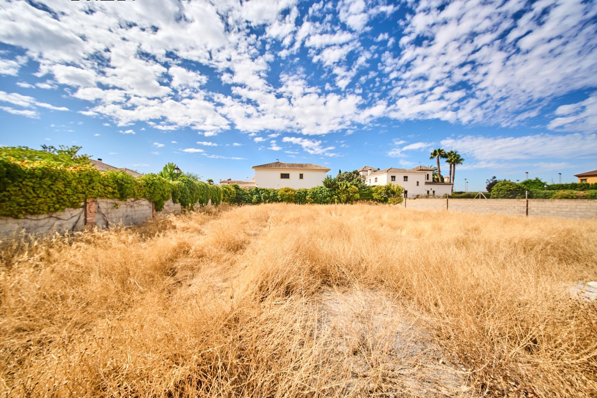 Fincas y solares-Venta-Vegas del Genil-1827908-Foto-7