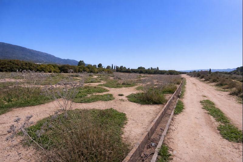 Fincas y solares-Venta-Librilla-2063622-Foto-3