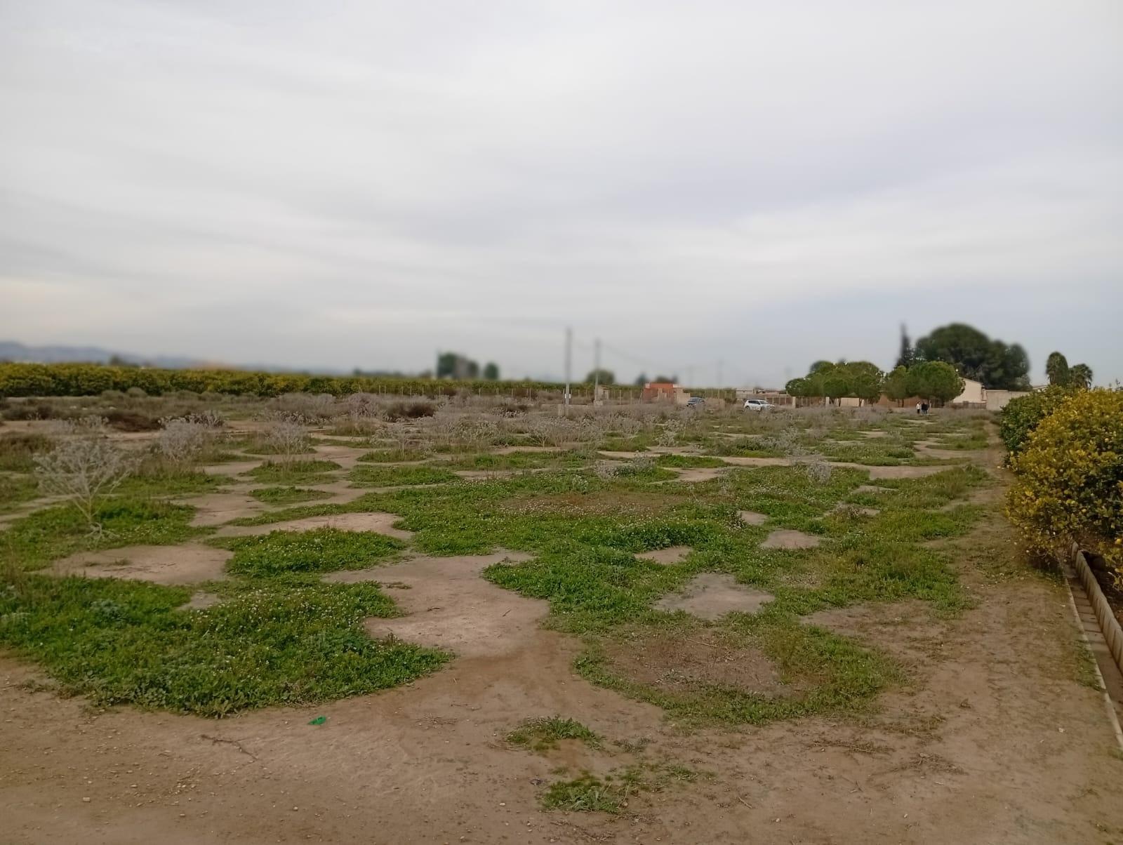 Fincas y solares-Venta-Librilla-2063622-Foto-4