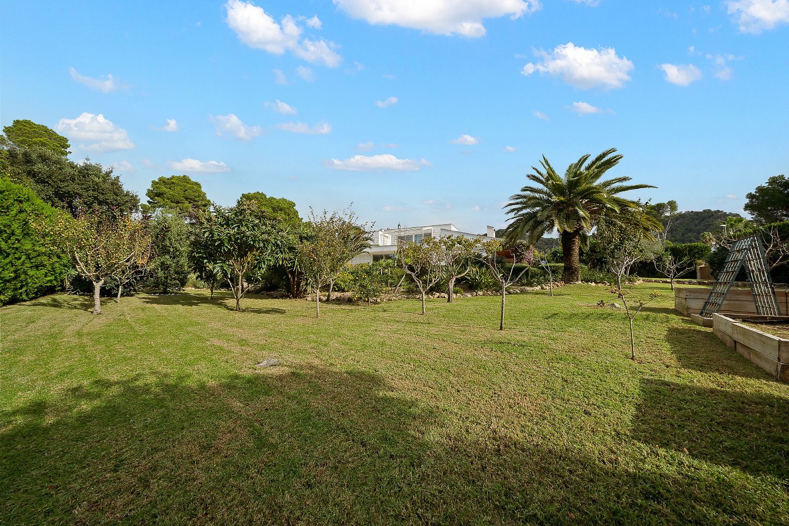 Casas o chalets-Venta-Capdepera-2010248-Foto-31