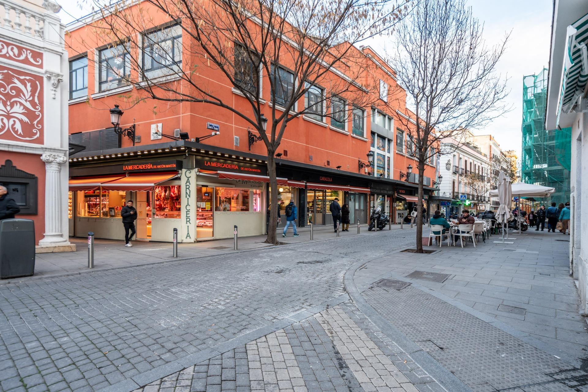 Pisos-Venta-Madrid-2059838-Foto-26