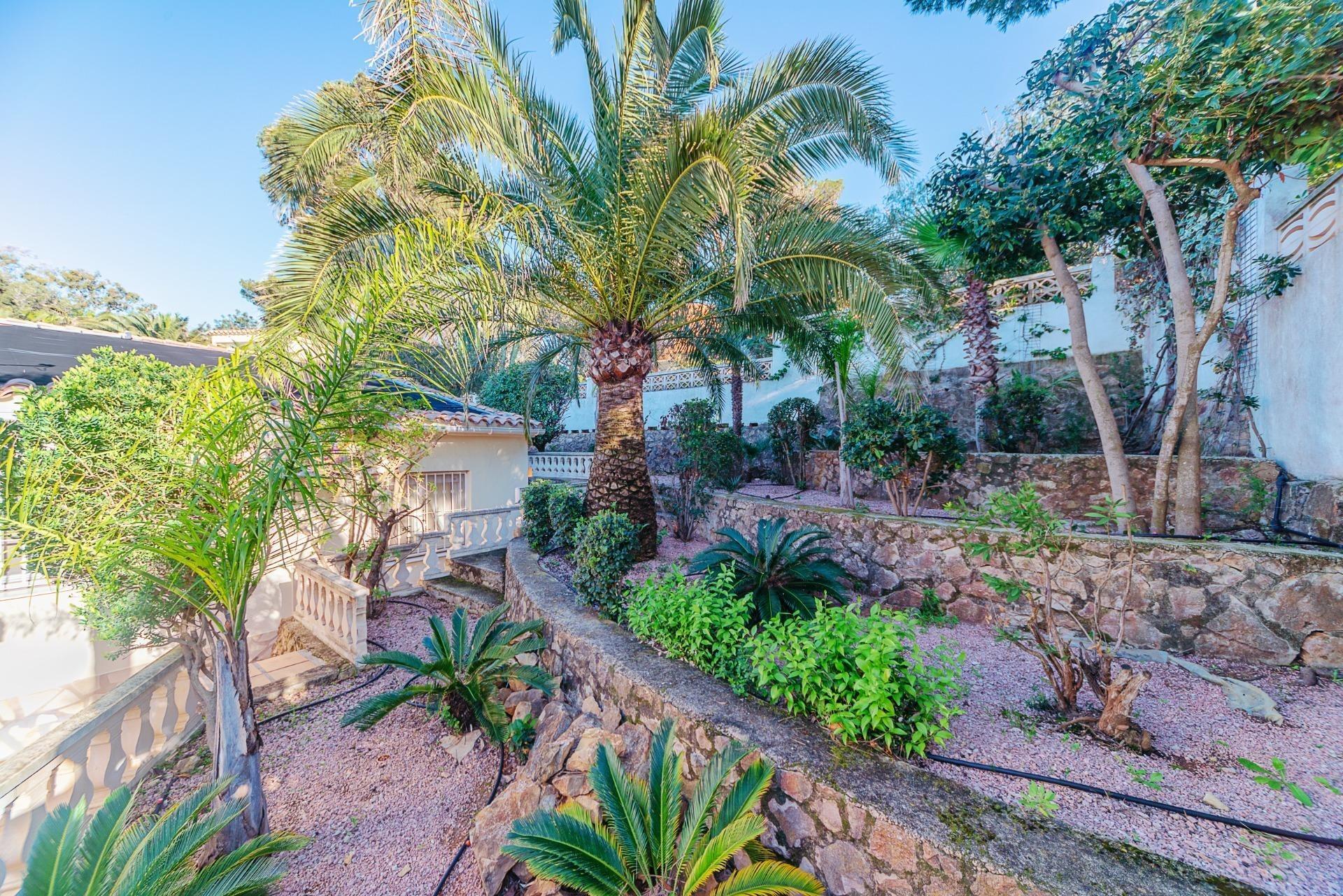 Casas o chalets-Venta-DÃ©nia-2059832-Foto-17