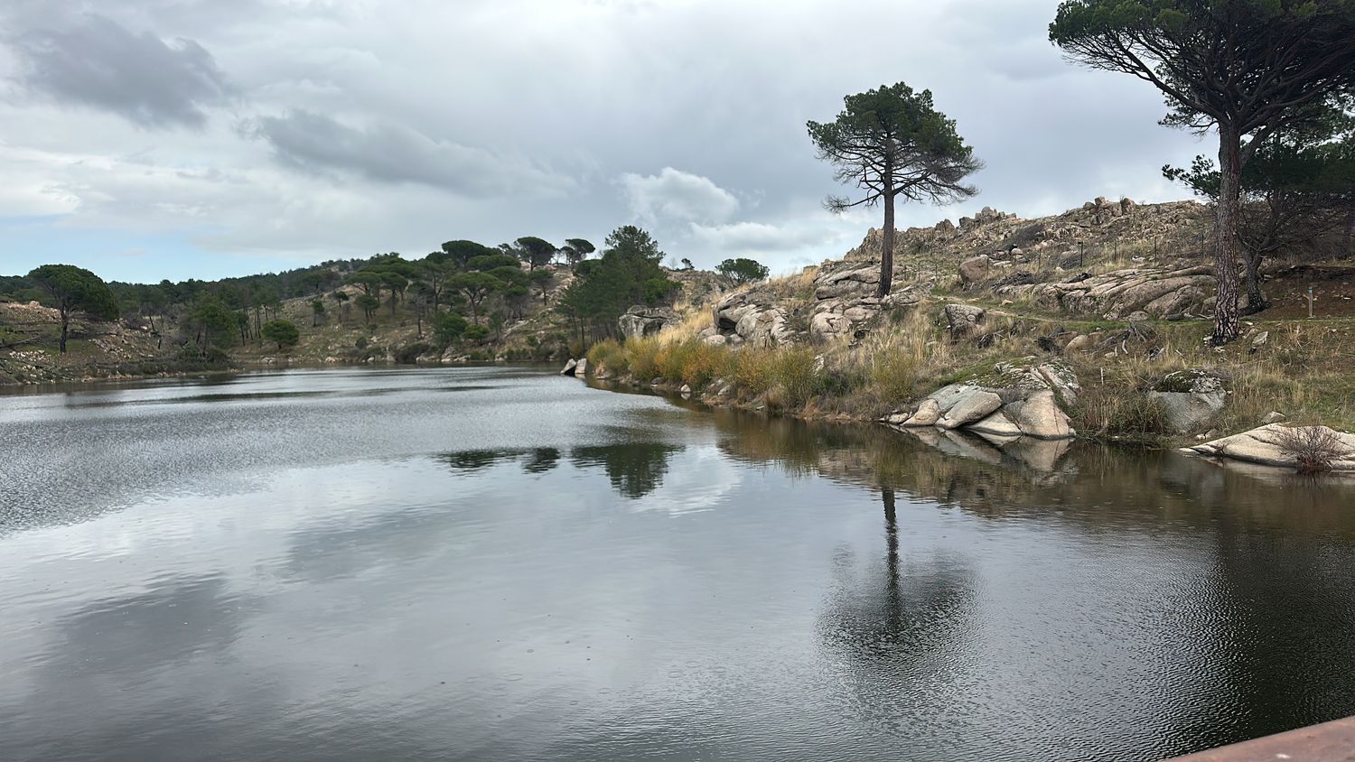 Negocios-Venta-El Hoyo de Pinares-1509171-Foto-20