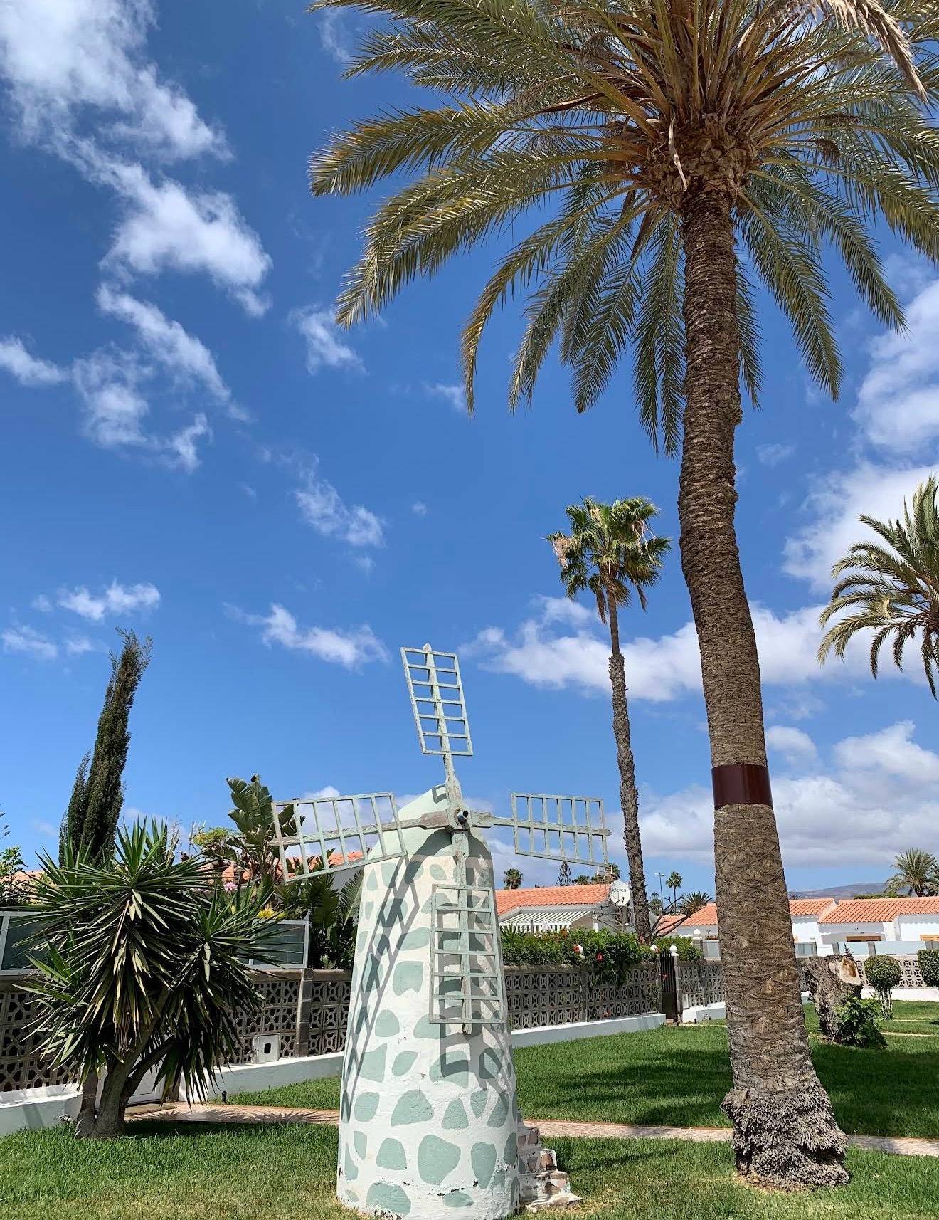 Casas o chalets-Venta-San BartolomÃ© de Tirajana-2044753-Foto-5