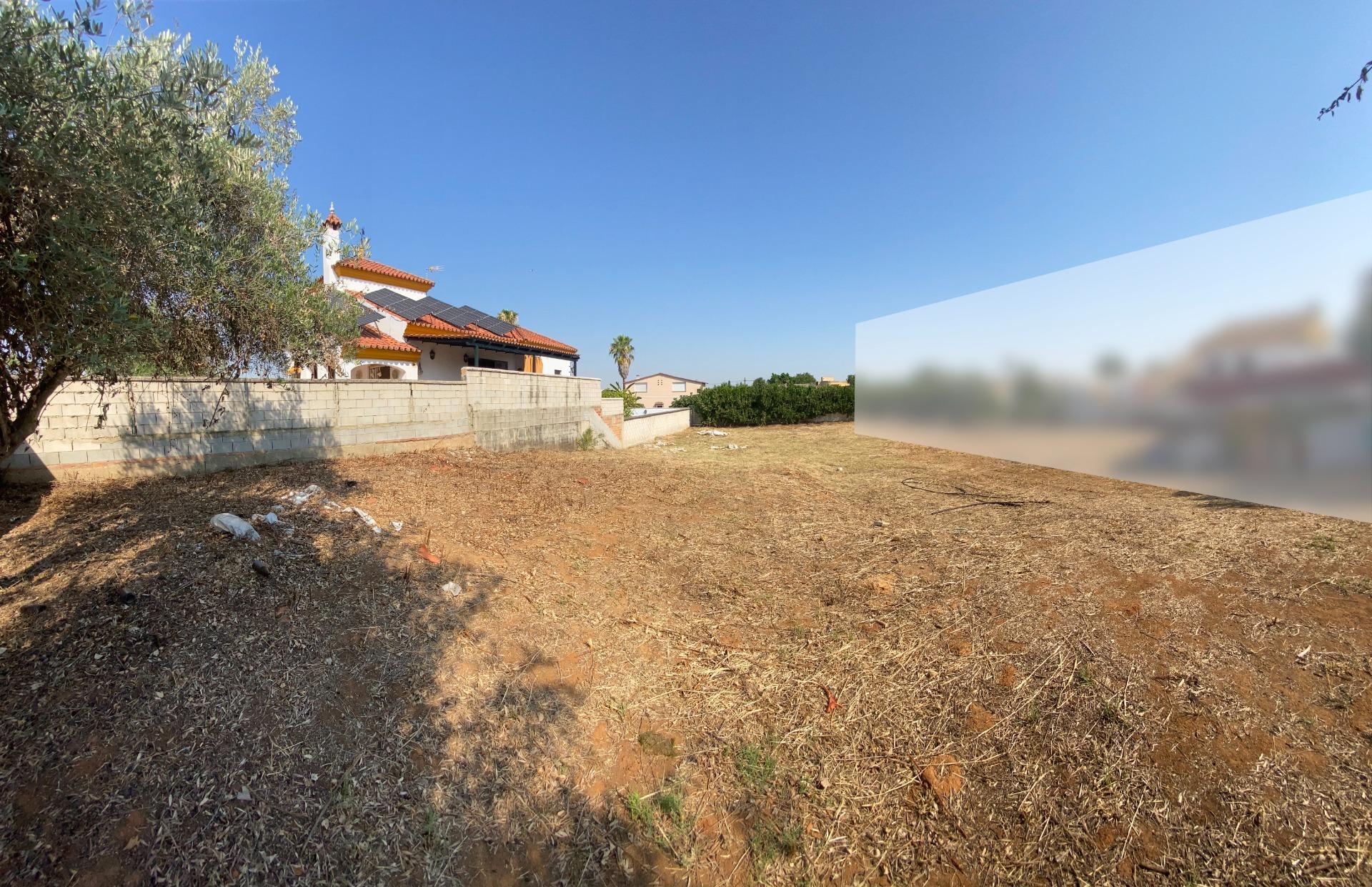 Fincas y solares-Venta-Palomares del RÃ­o-1430351-Foto-4