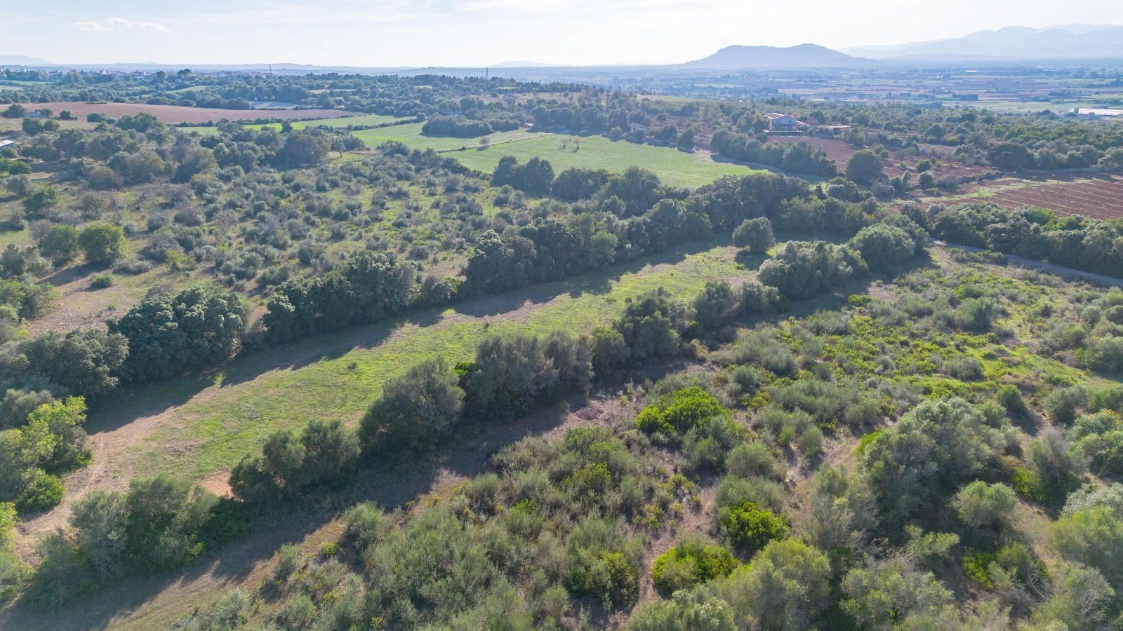 Fincas y solares-Venta-Muro de Alcoy-1423773-Foto-4