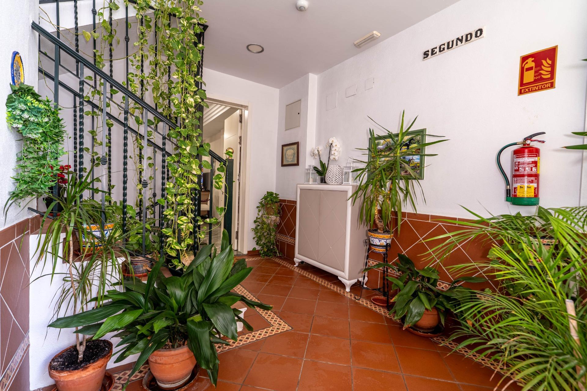 Pisos-Venta-Burguillos-2059835-Foto-4