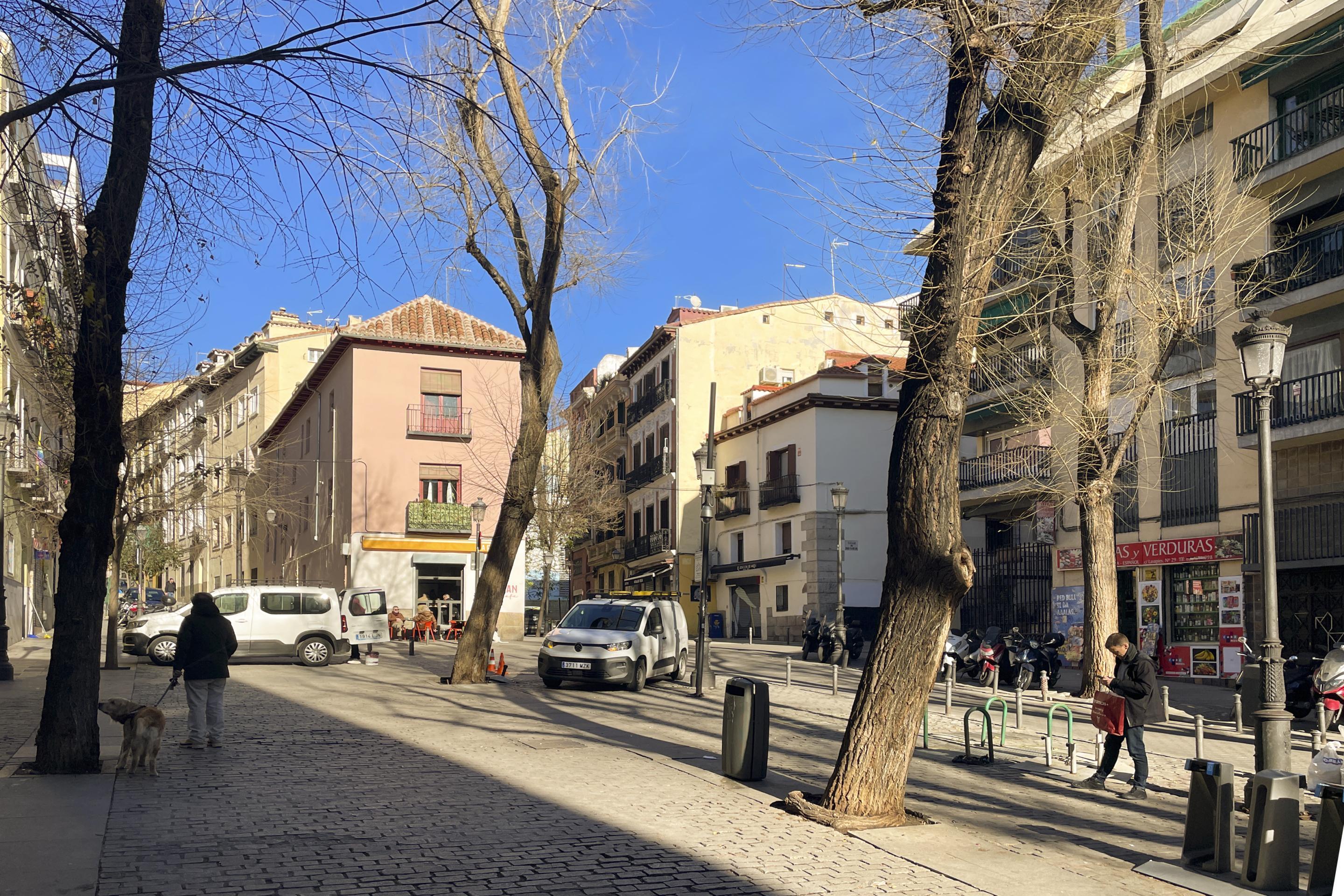 Pisos-Alquiler-Madrid-2059850-Foto-29