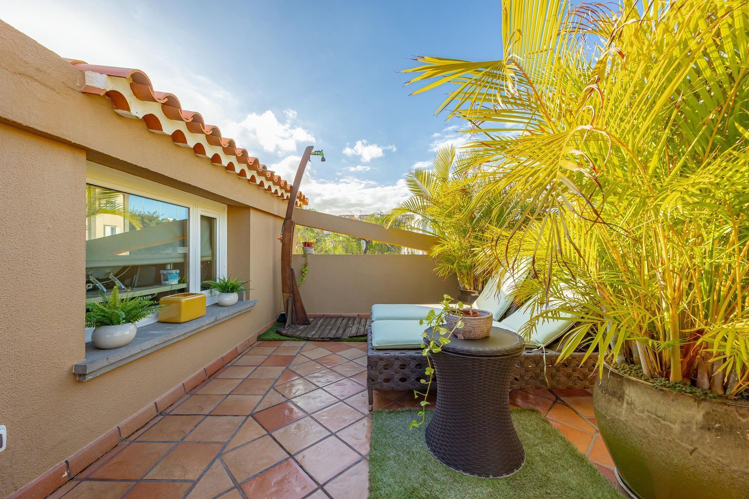 Casas o chalets-Venta-Las Palmas de Gran Canaria-2043483-Foto-64