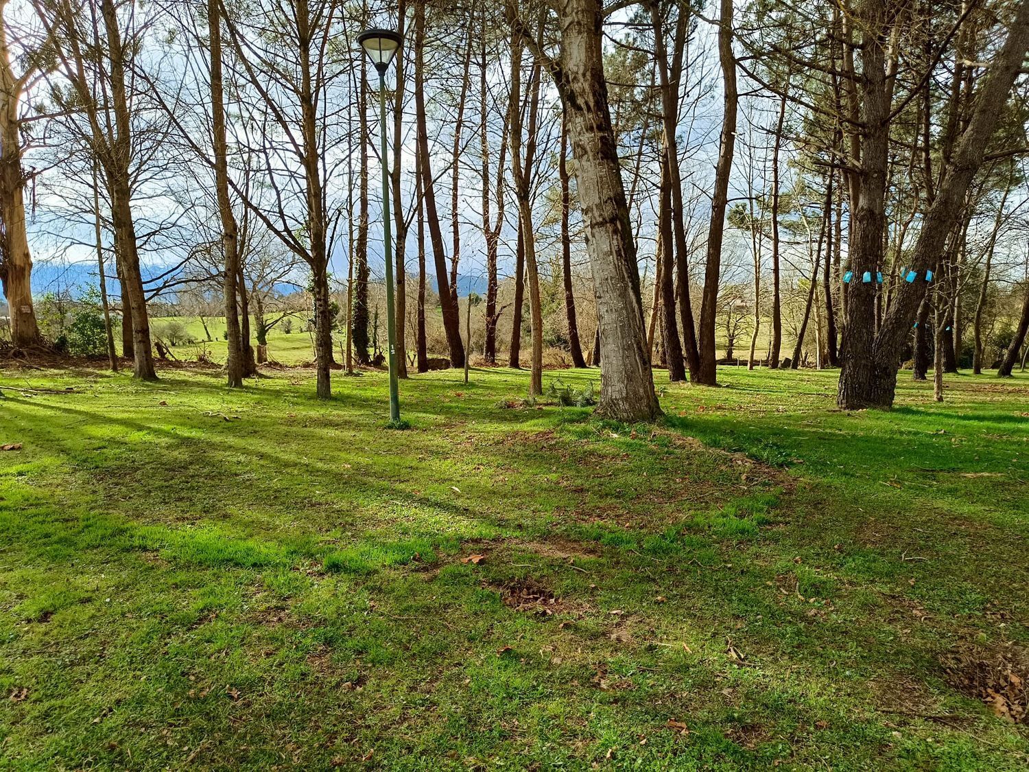 Pisos-Venta-Llanera-2060706-Foto-49