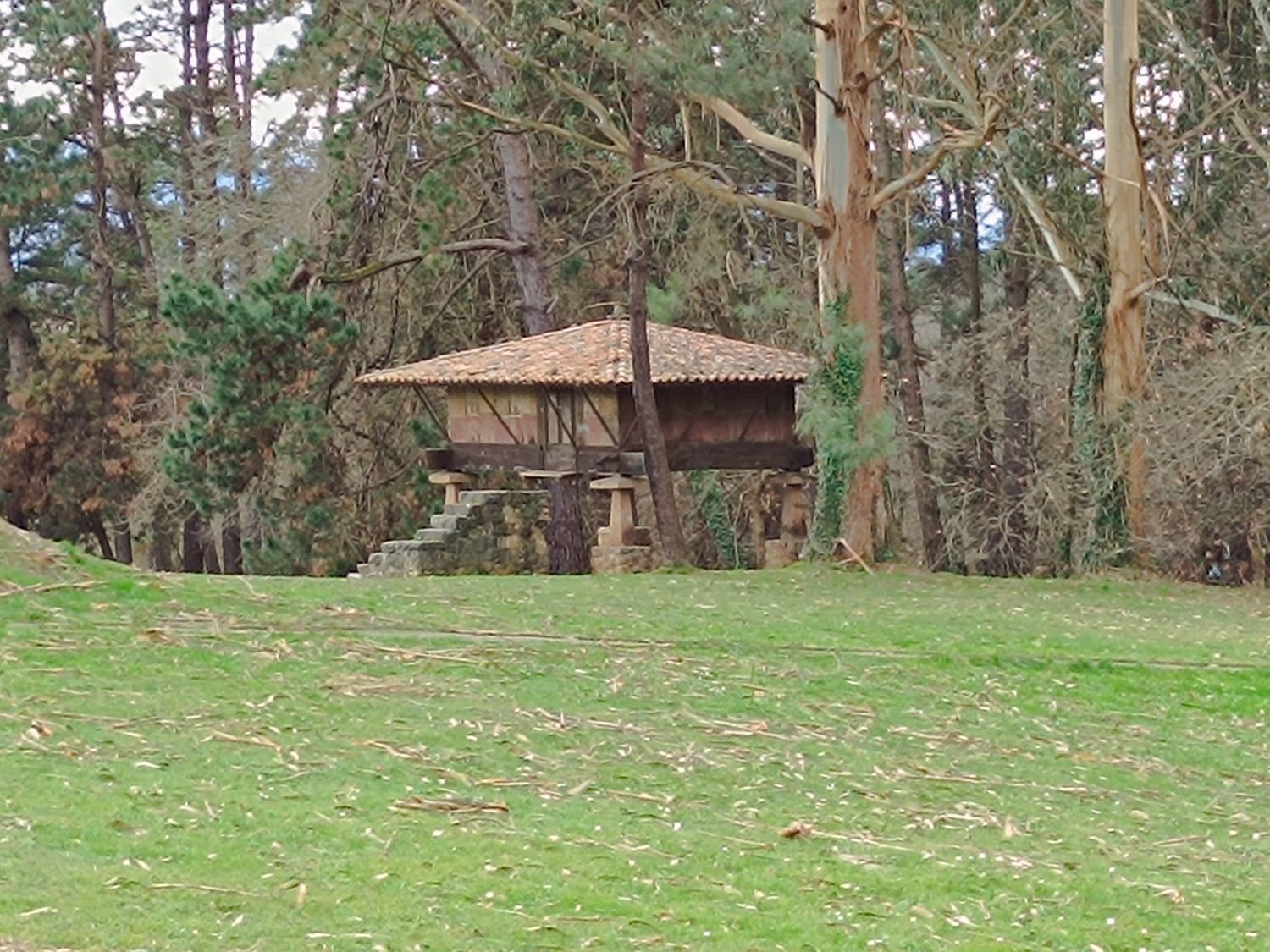 Pisos-Venta-Llanera-2060706-Foto-55