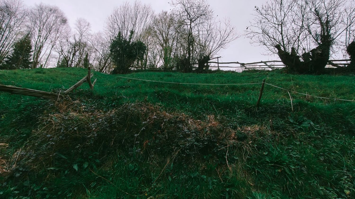 Casas o chalets-Venta-Langreo-1731784-Foto-47