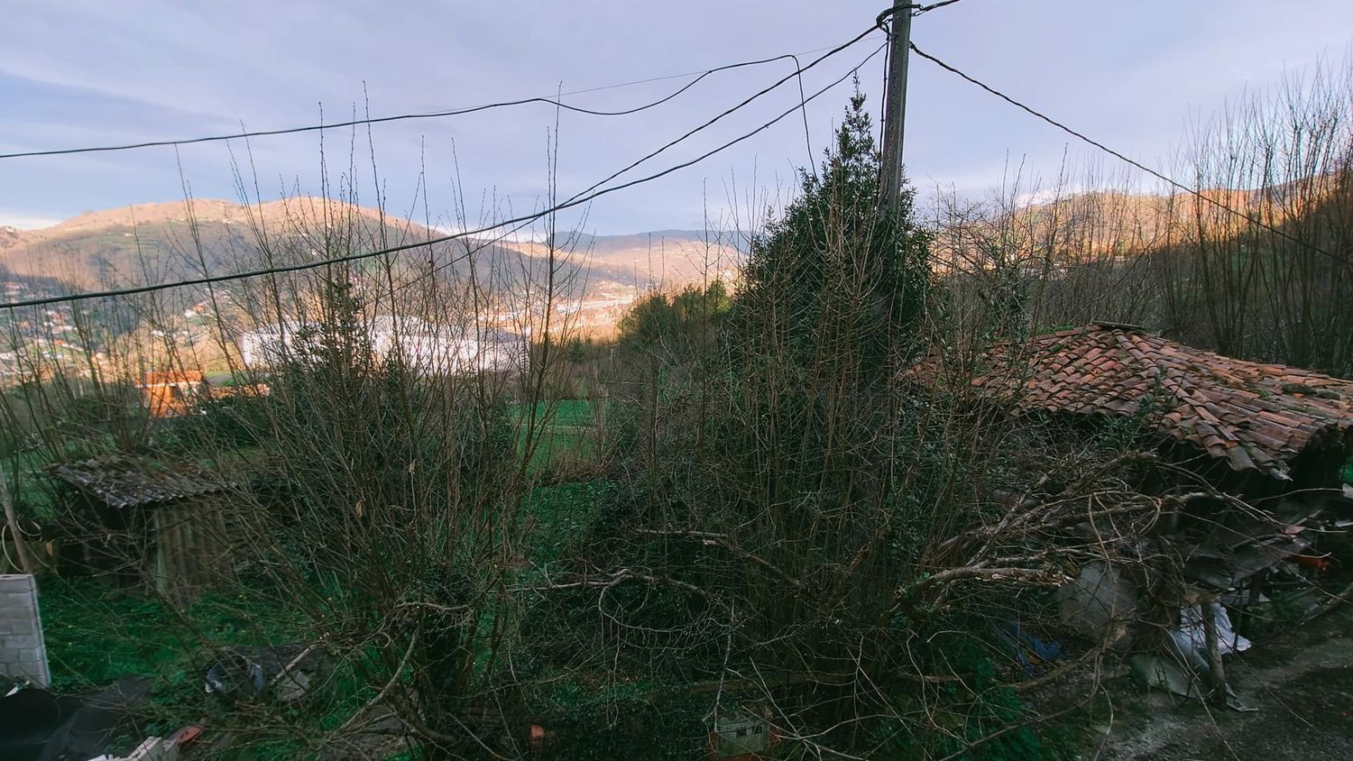 Casas o chalets-Venta-Langreo-1731784-Foto-49