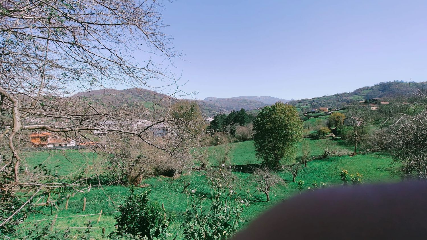 Casas o chalets-Venta-Langreo-1731784-Foto-51