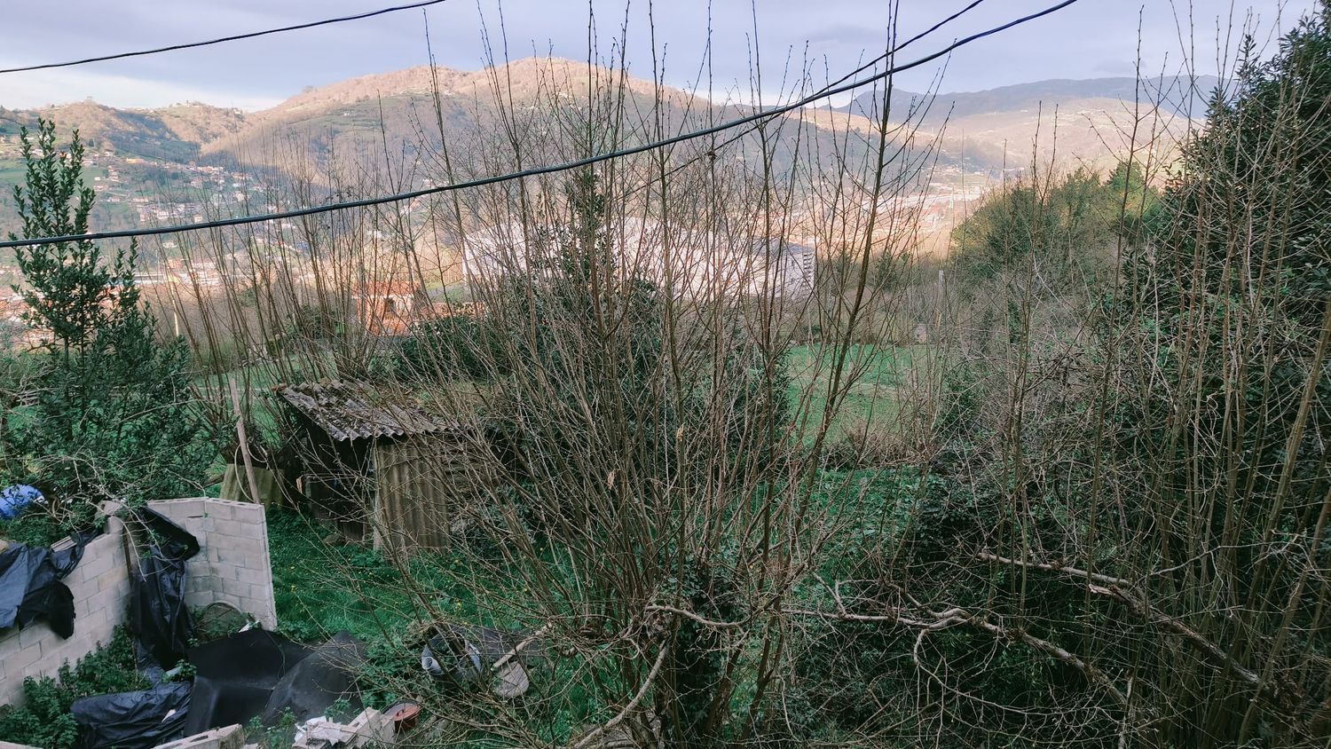 Casas o chalets-Venta-Langreo-1731784-Foto-50