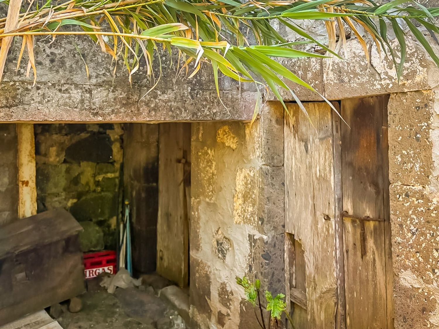 Casas o chalets-Venta-Valleseco-2060733-Foto-13