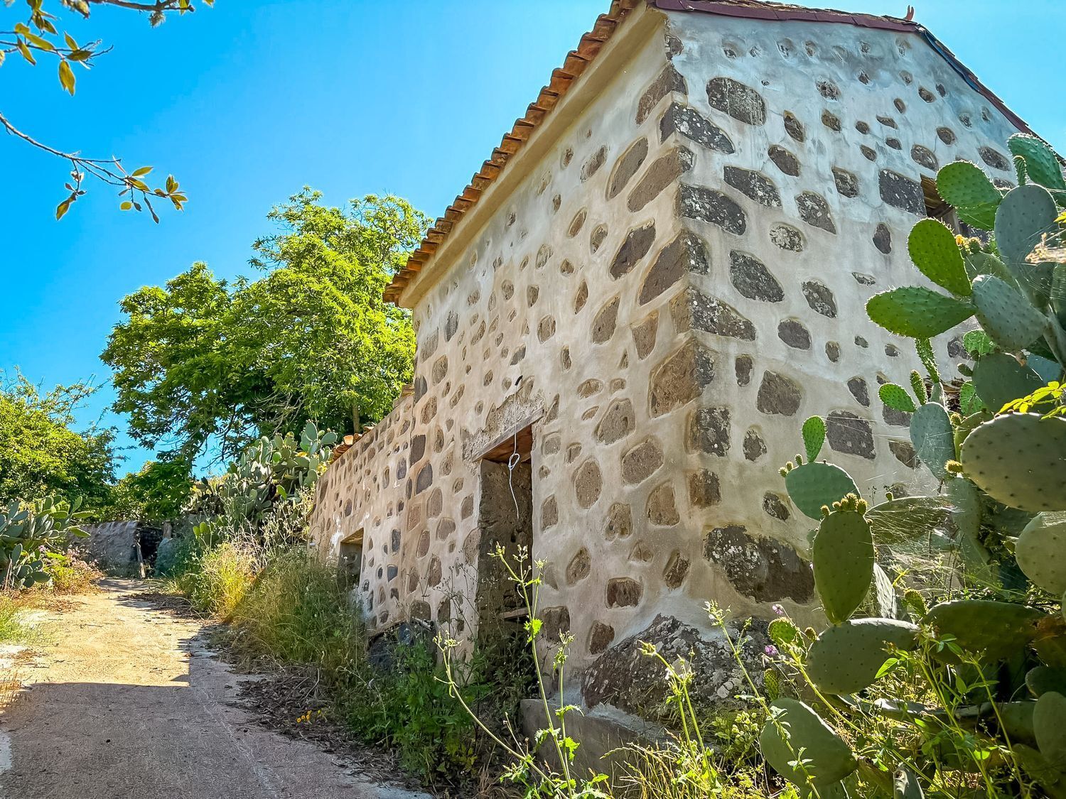 Casas o chalets-Venta-Valleseco-2060733-Foto-19