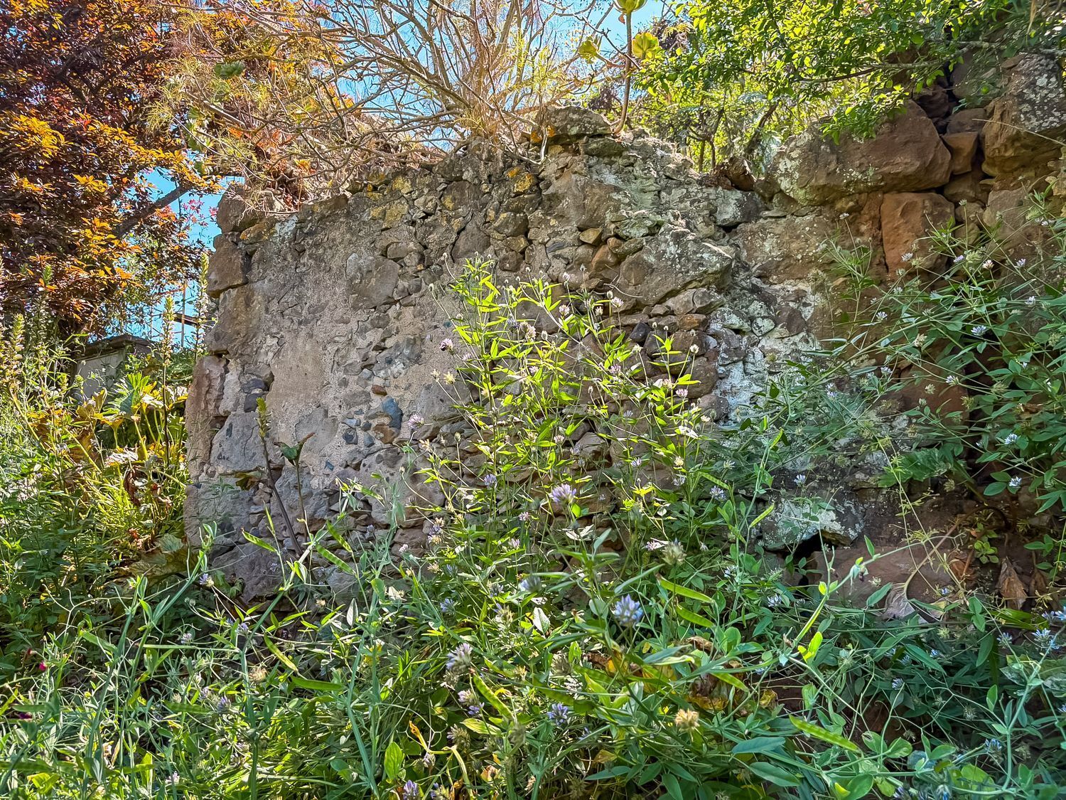 Casas o chalets-Venta-Valleseco-2060733-Foto-21