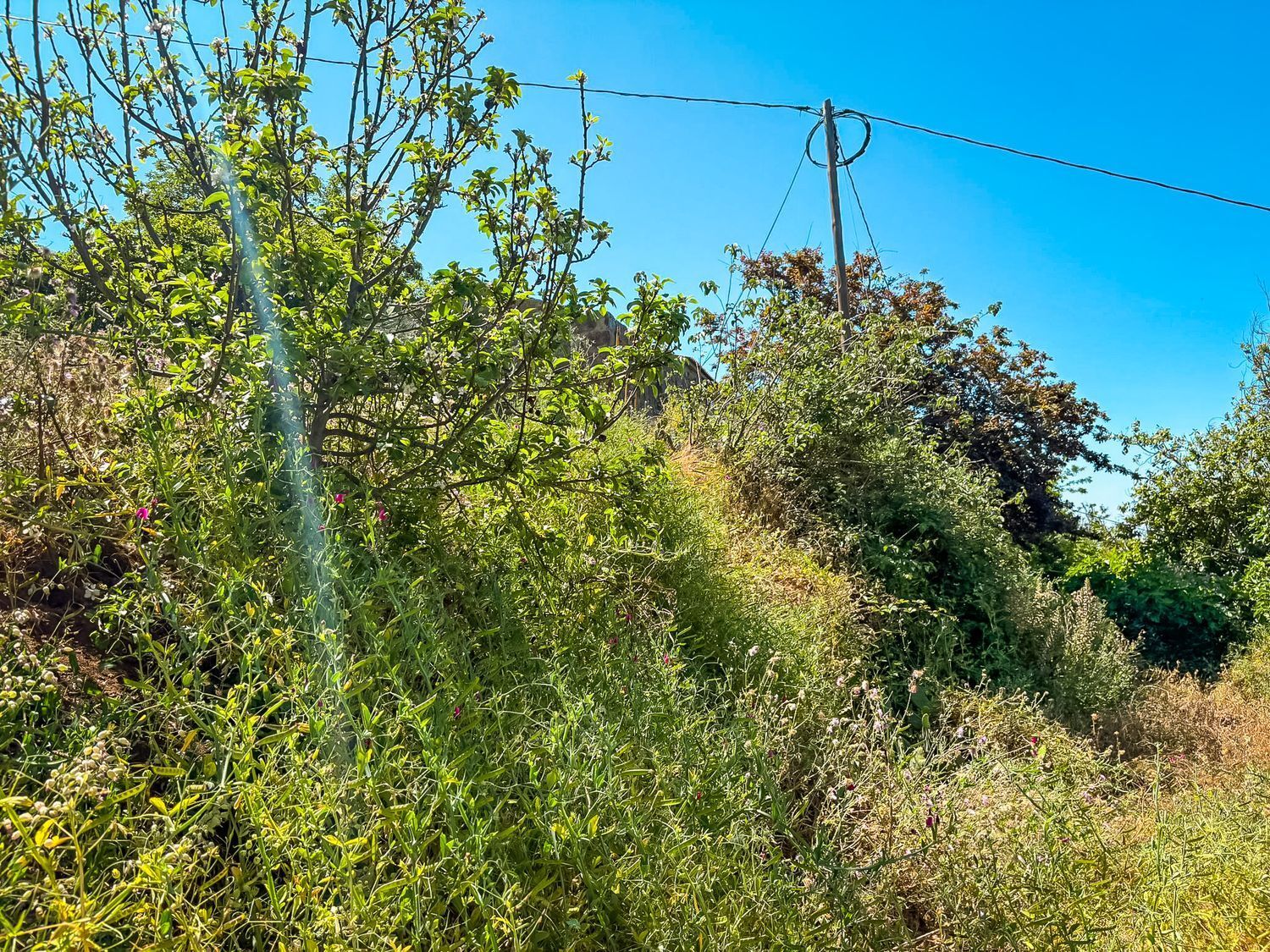 Casas o chalets-Venta-Valleseco-2060733-Foto-23