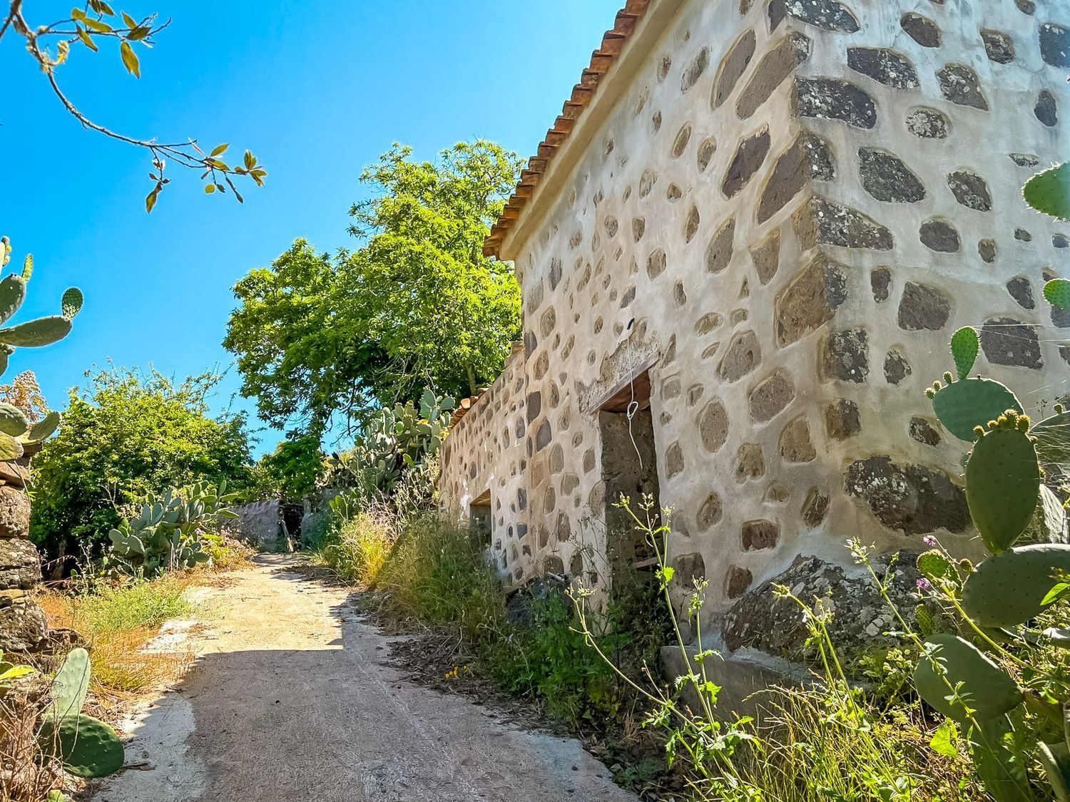 Casas o chalets-Venta-Valleseco-2060733-Foto-30