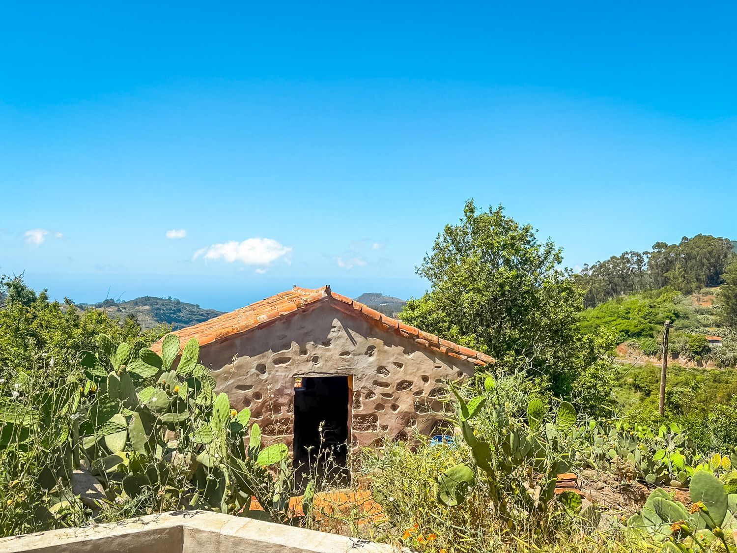 Casas o chalets-Venta-Valleseco-2060733-Foto-28