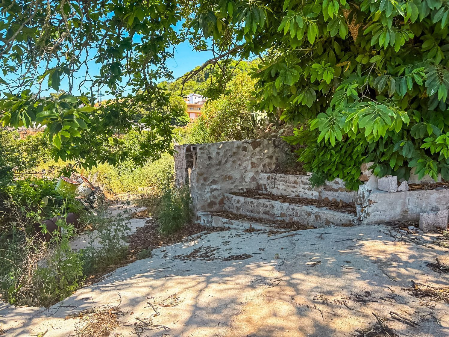 Casas o chalets-Venta-Valleseco-2060733-Foto-37