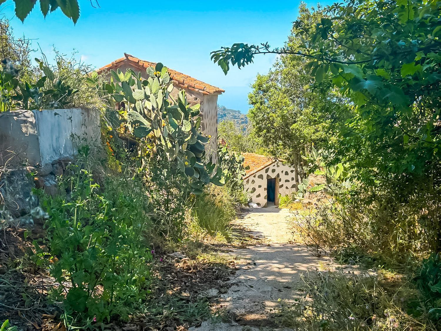 Casas o chalets-Venta-Valleseco-2060733-Foto-42