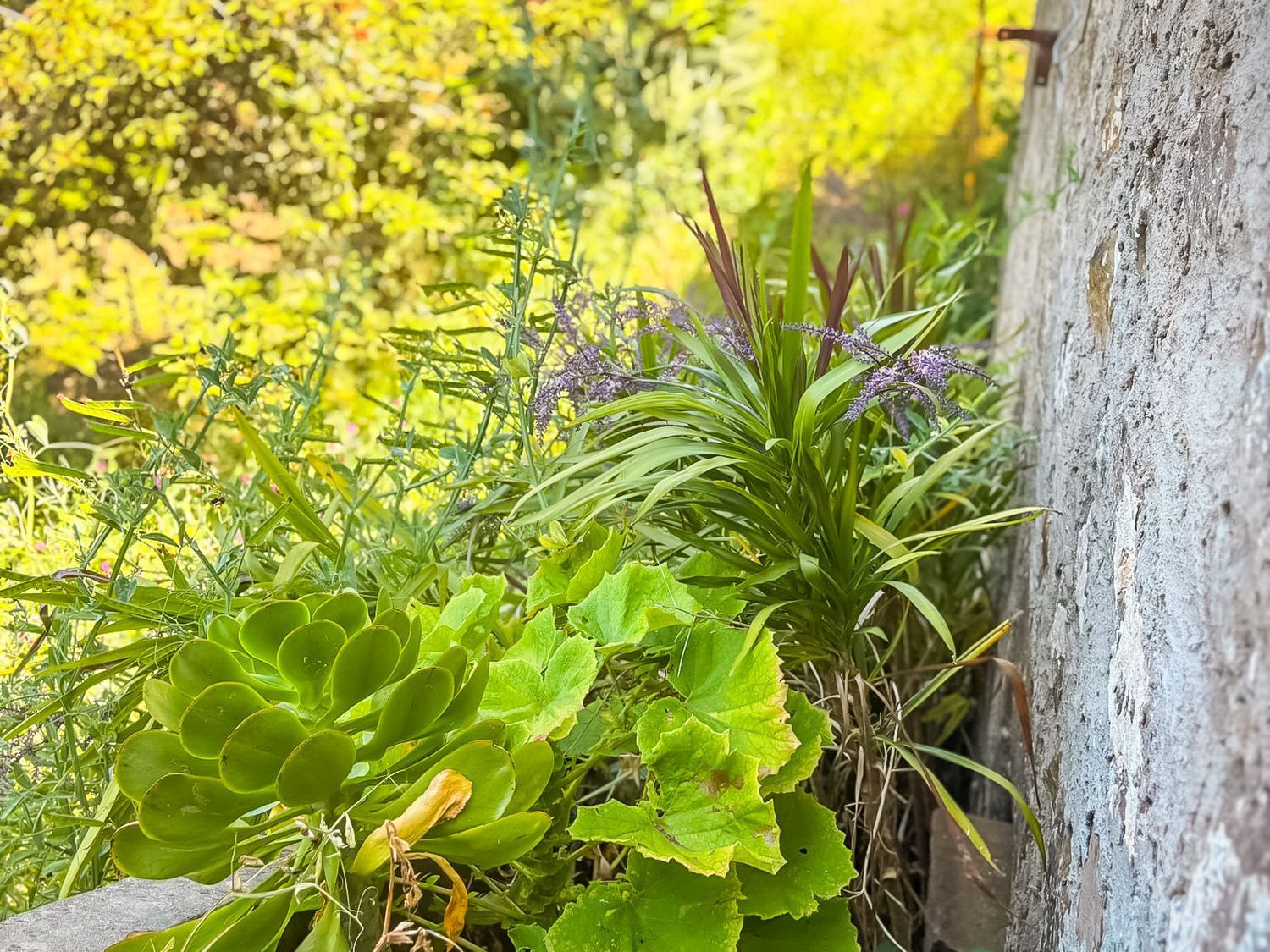 Casas o chalets-Venta-Valleseco-2060733-Foto-52