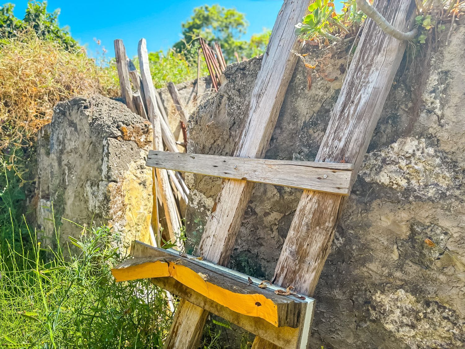 Casas o chalets-Venta-Valleseco-2060733-Foto-55