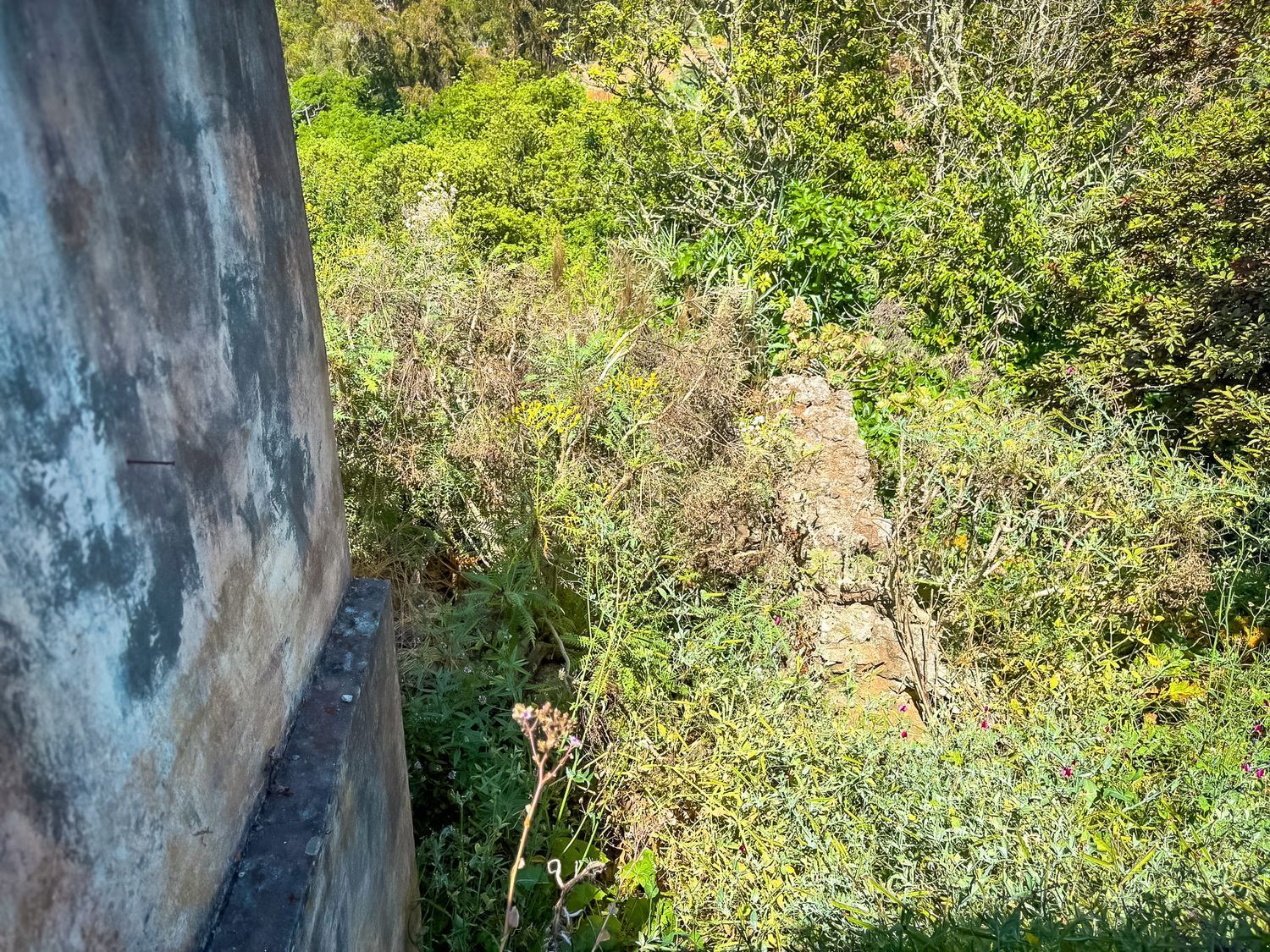 Casas o chalets-Venta-Valleseco-2060733-Foto-56