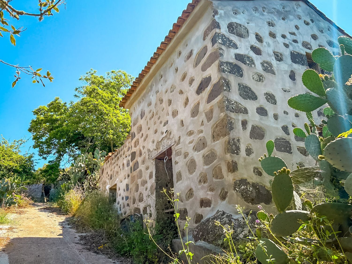 Casas o chalets-Venta-Valleseco-2060733-Foto-69