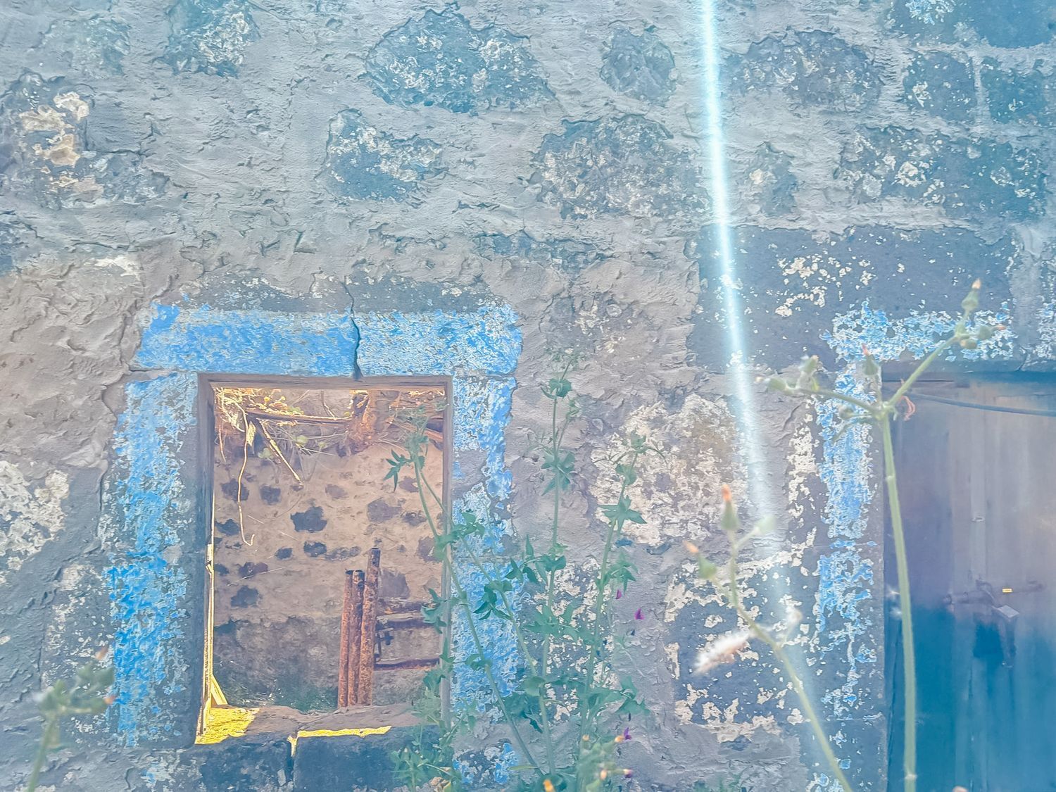 Casas o chalets-Venta-Valleseco-2060733-Foto-76