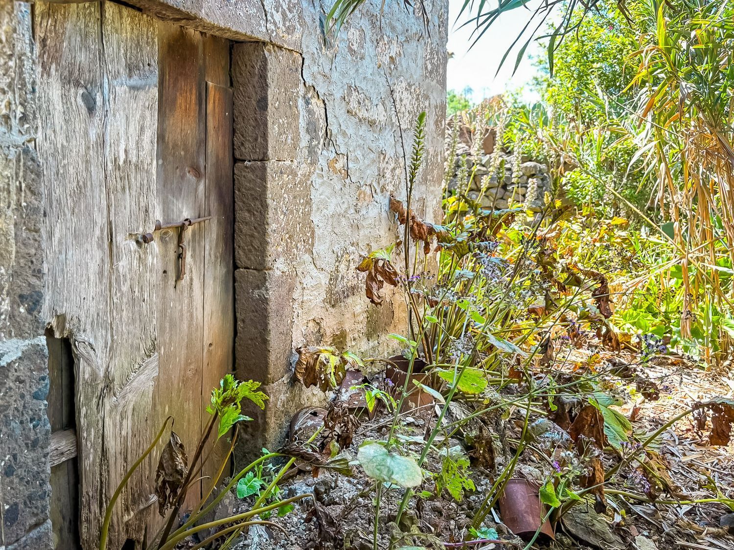 Casas o chalets-Venta-Valleseco-2060733-Foto-80