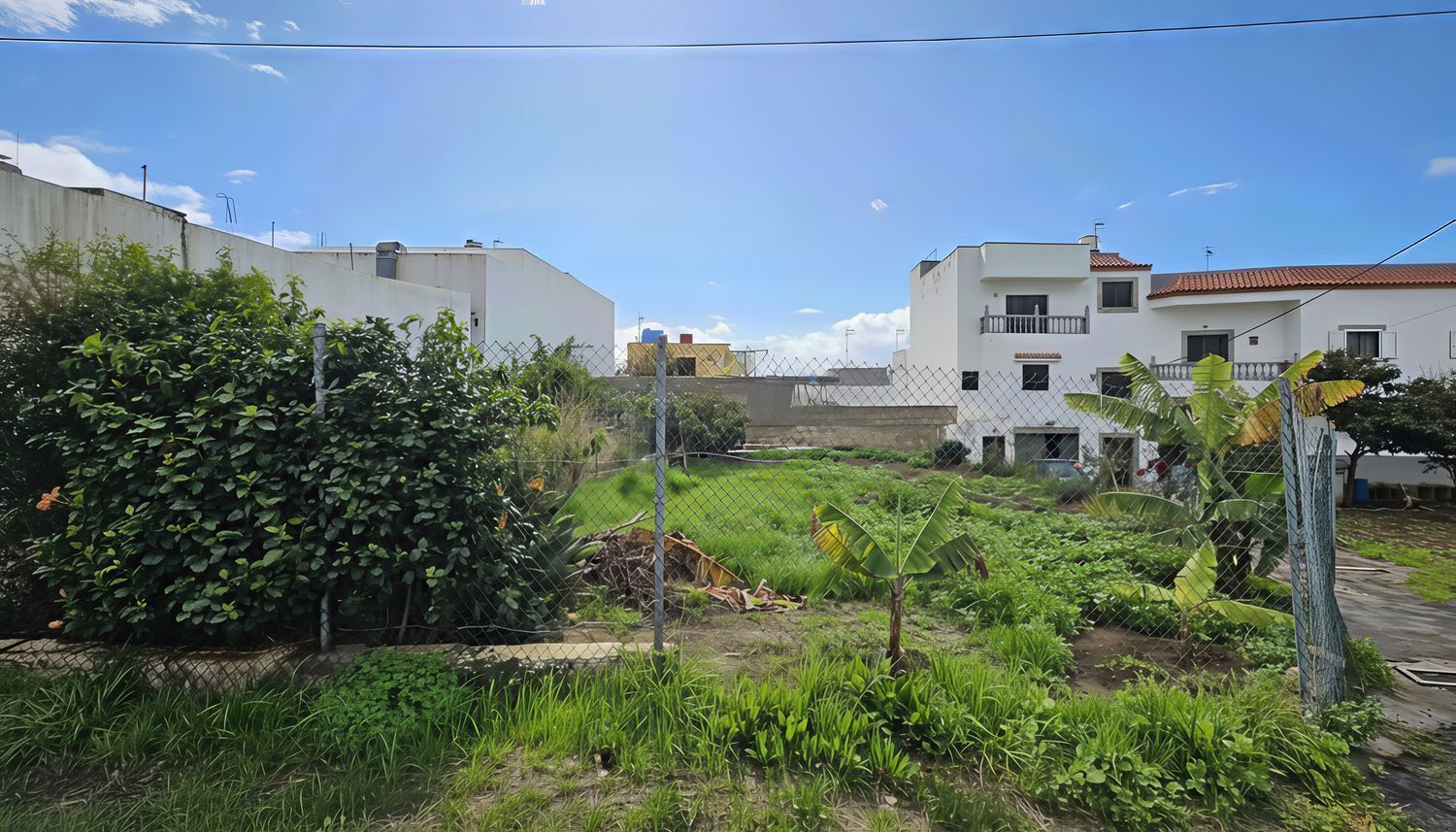 Fincas y solares-Venta-Santa MarÃ­a de GuÃ­a de Gran Canaria-2091815-Foto-2