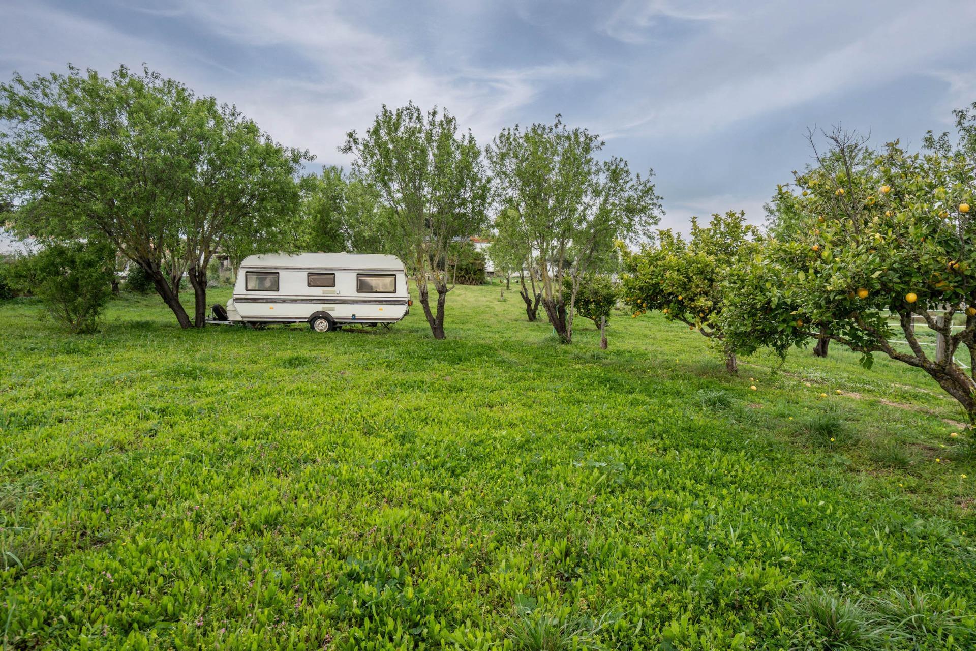 Casas o chalets-Venta-Chiclana de la Frontera-1684801-Foto-93