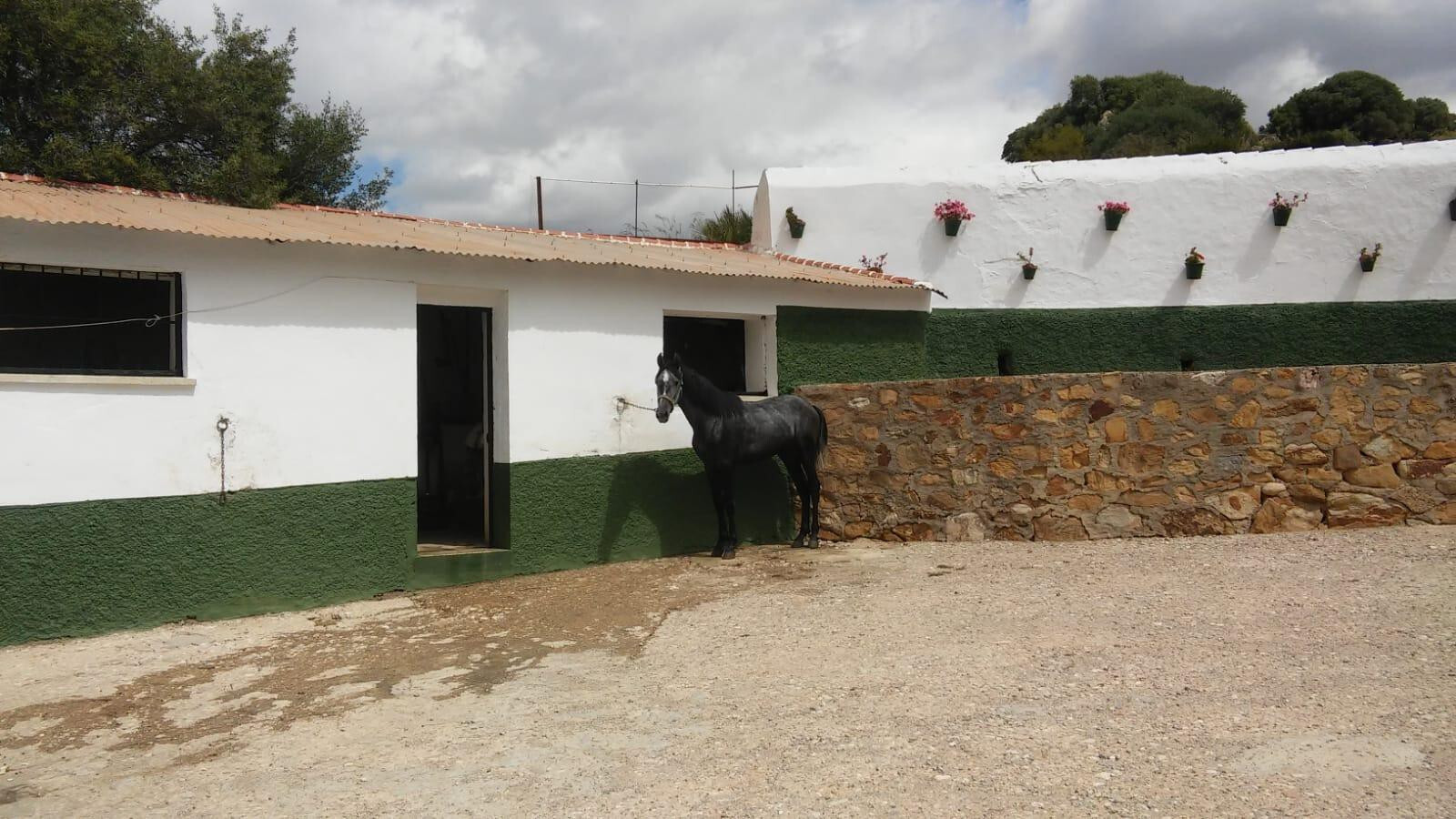 Fincas y solares-Venta-Ardales-1830750-Foto-6
