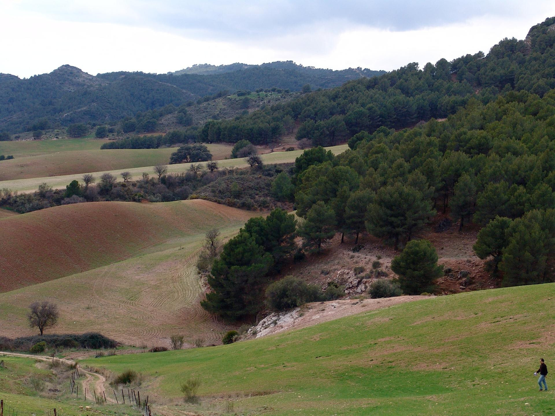 Fincas y solares-Venta-Ardales-1830750-Foto-23