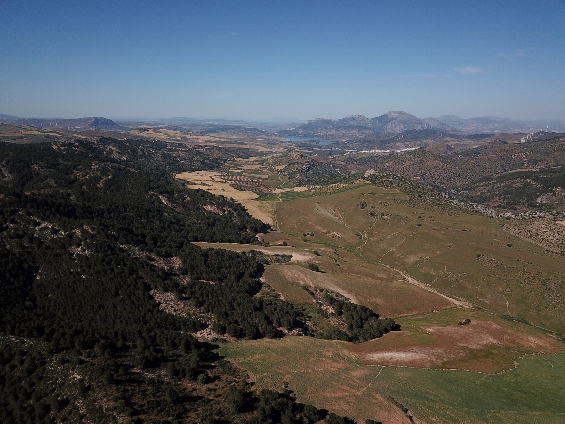 Fincas y solares-Venta-Ardales-1830750-Foto-48