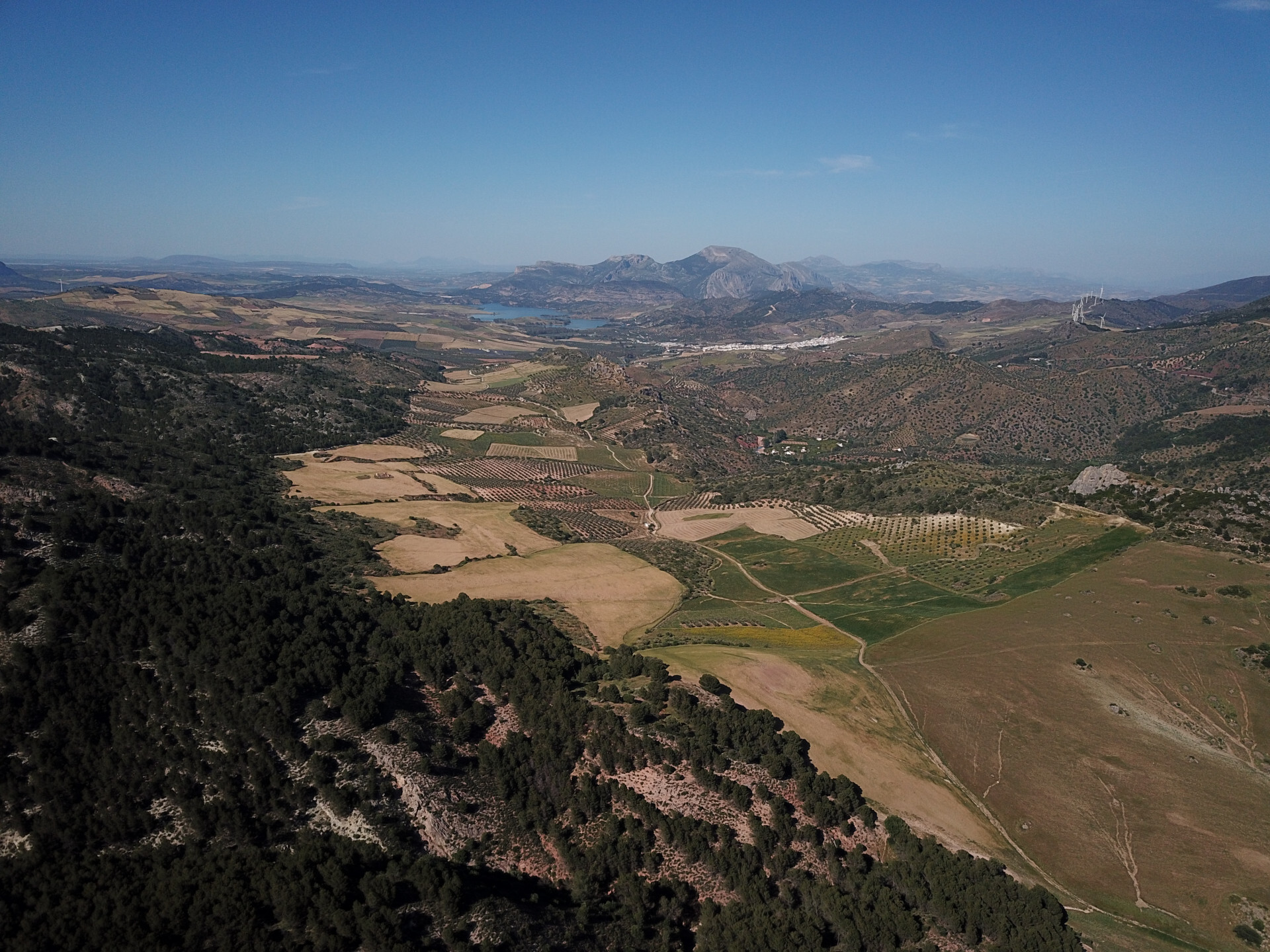 Fincas y solares-Venta-Ardales-1830750-Foto-52