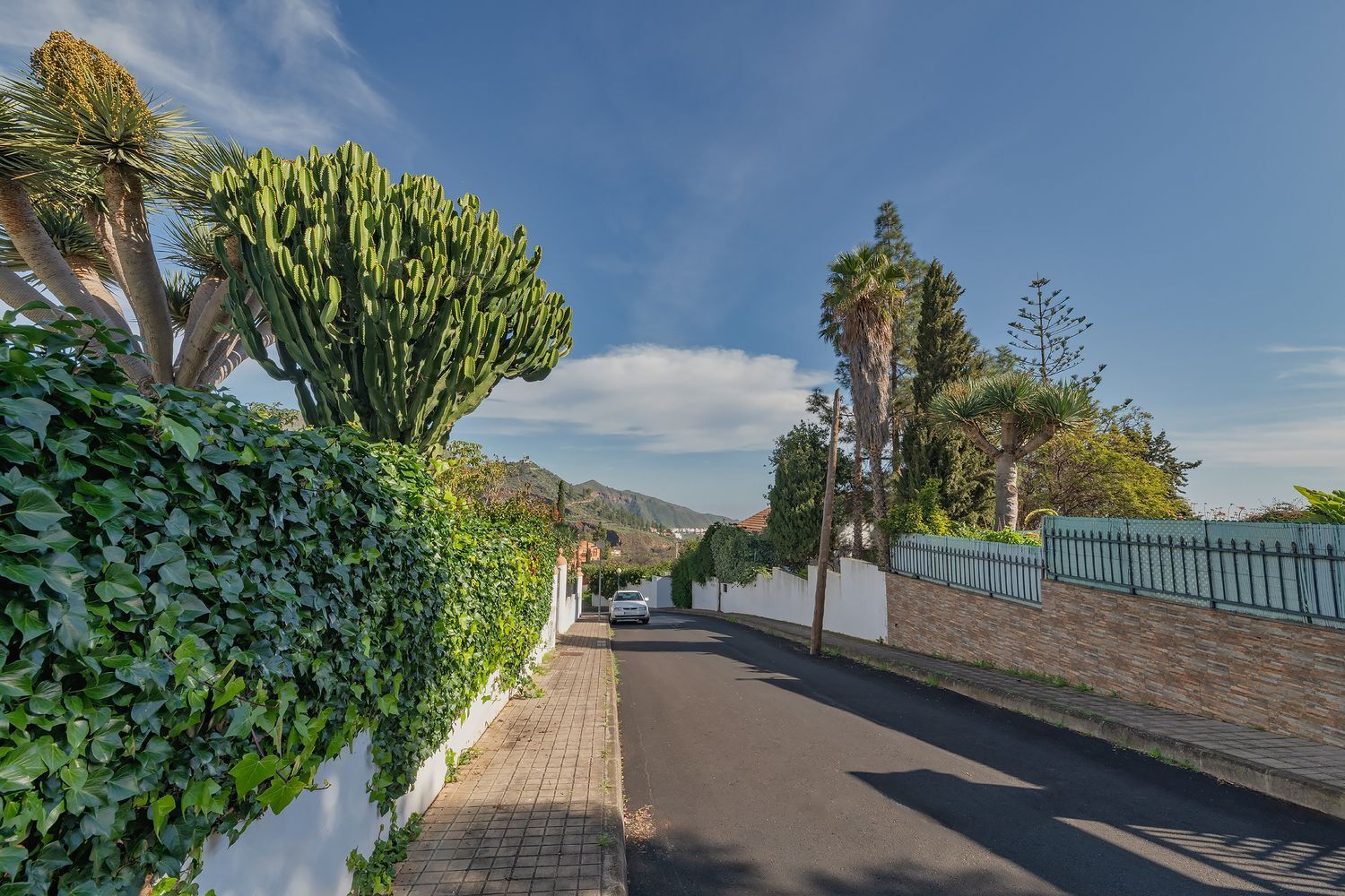 Casas o chalets-Venta-Valsequillo de Gran Canaria-2060763-Foto-4